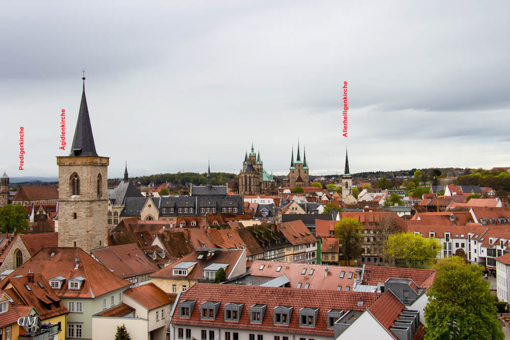 Blick vom Turm der Schottenkirche