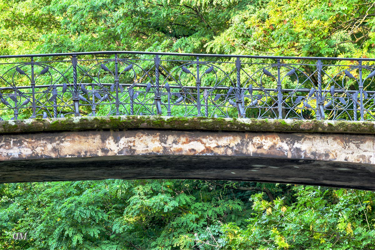 Friedrichssteg