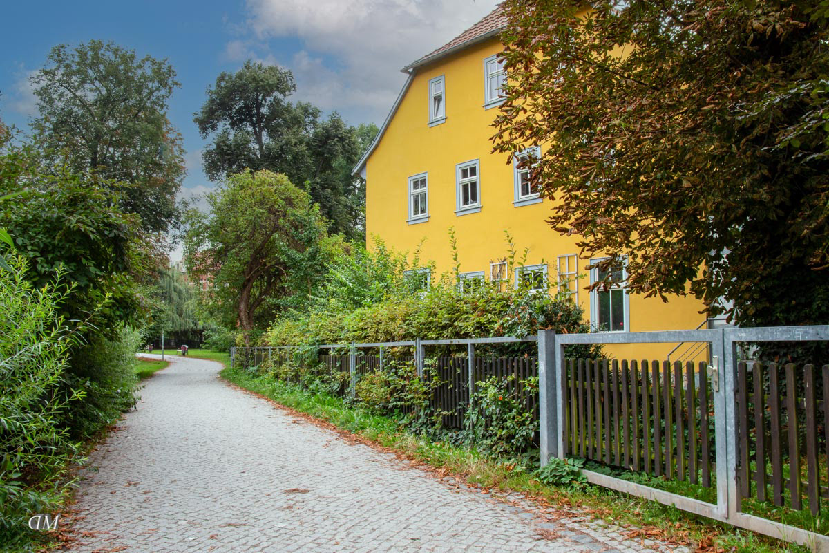 Die Lohmühle