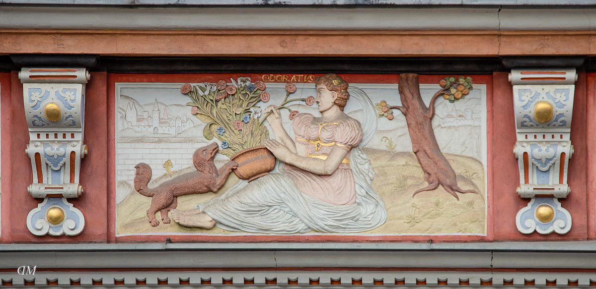 Das Riechen