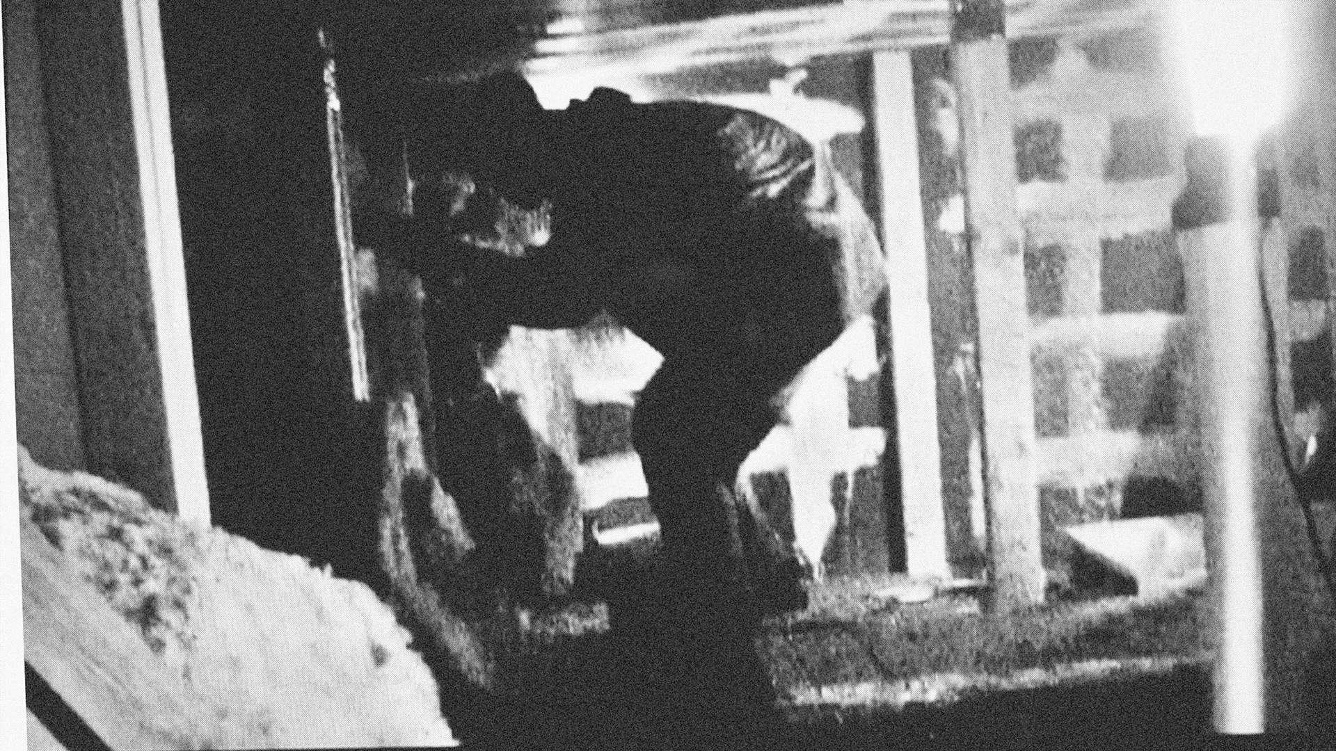 On All FoursVideo Installation (5m x 12,5m x 1,25m - MDF panels)DVD, 48', soundHessenhuis, Antwerp (BE)2006