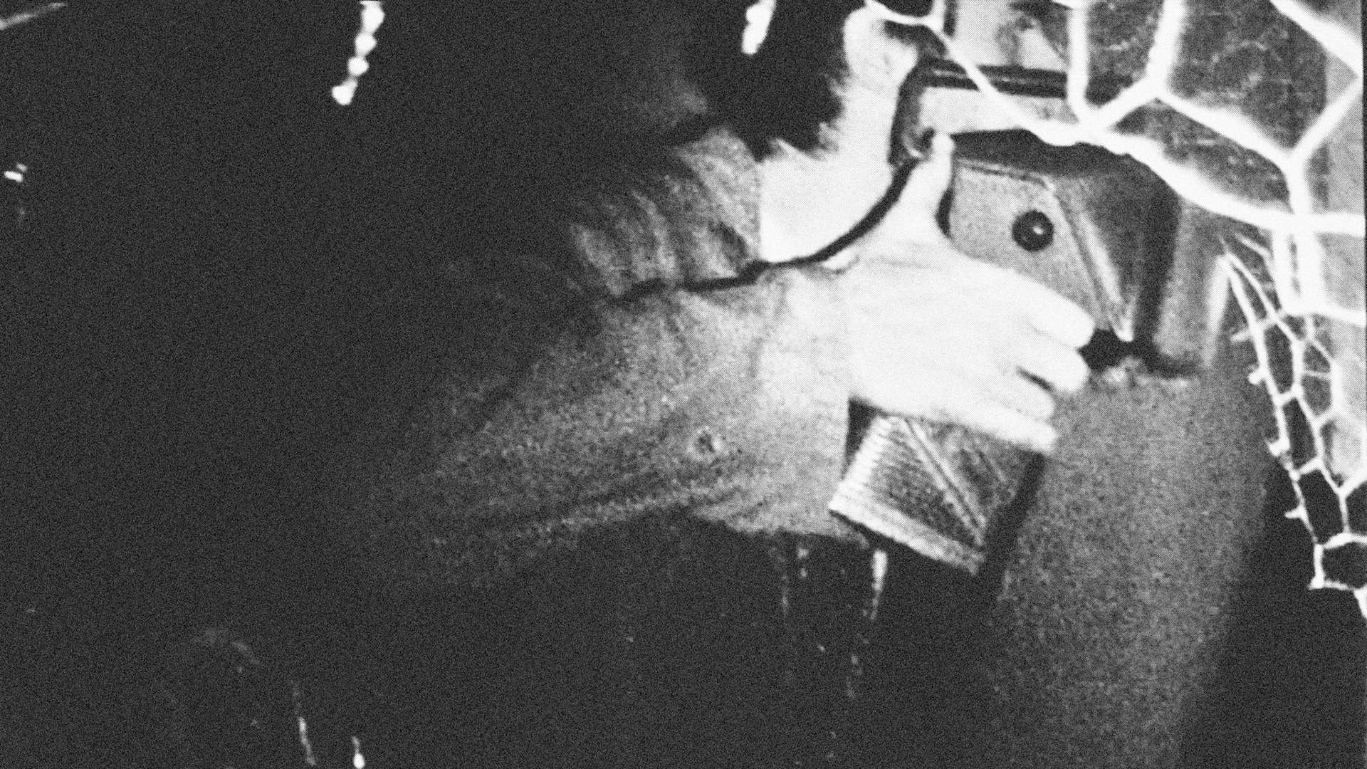 On All FoursVideo Installation (5m x 12,5m x 1,25m - MDF panels)DVD, 48', soundHessenhuis, Antwerp (BE)2006