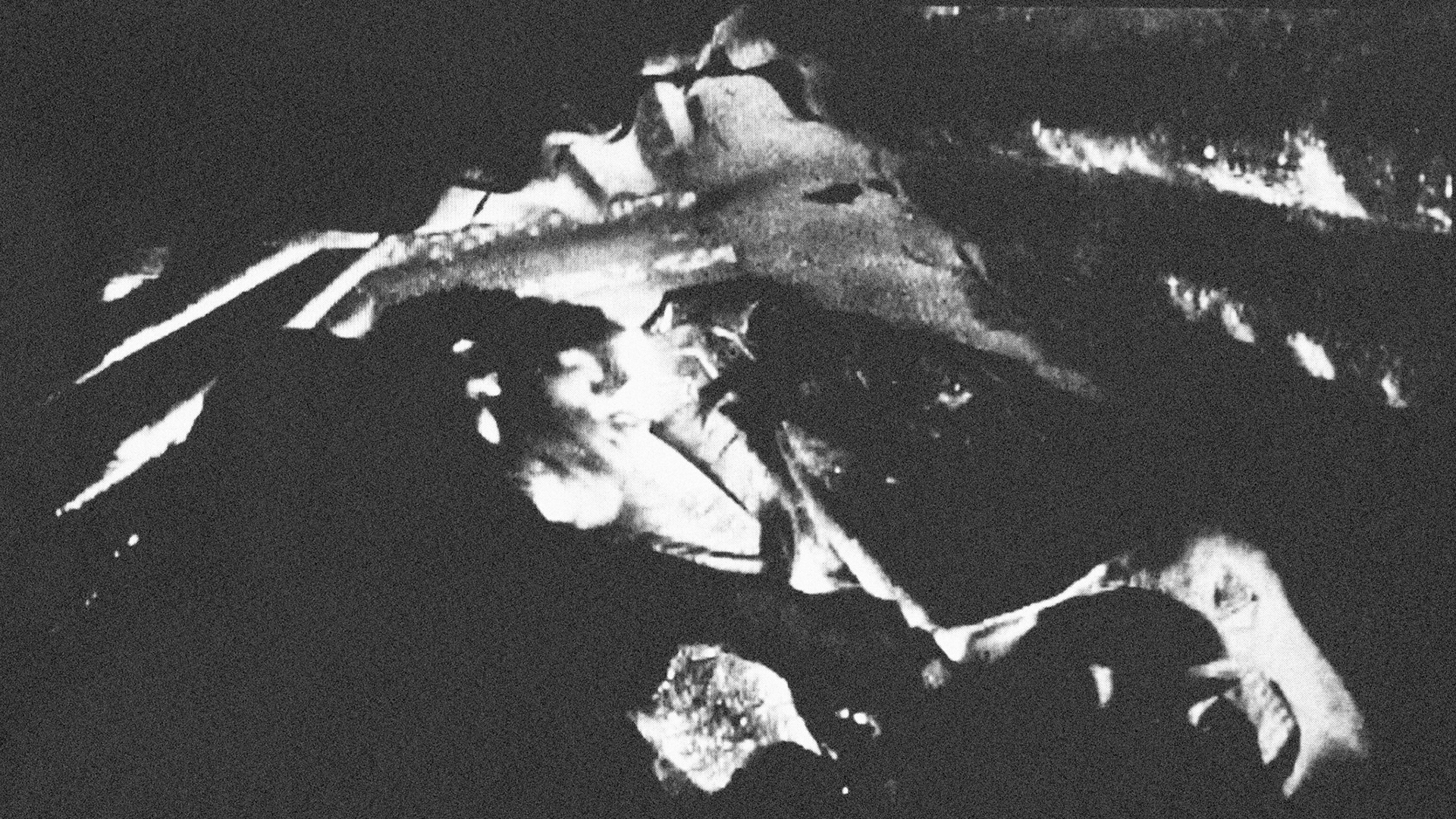 On All FoursVideo Installation (5m x 12,5m x 1,25m - MDF panels)DVD, 48', soundHessenhuis, Antwerp (BE)2006