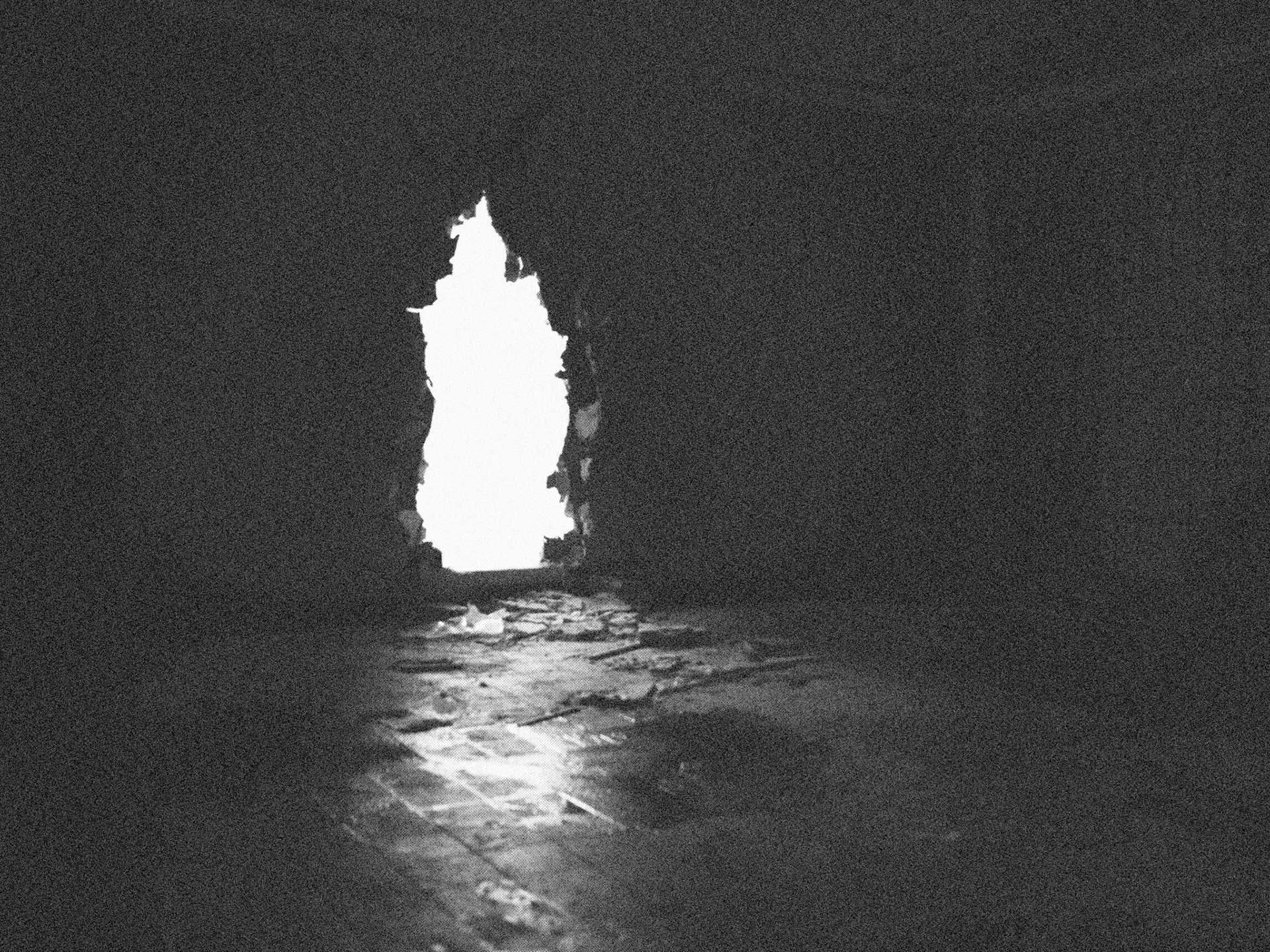 We Did It / Disputed TerritoryinterventionChert, Berlin2010