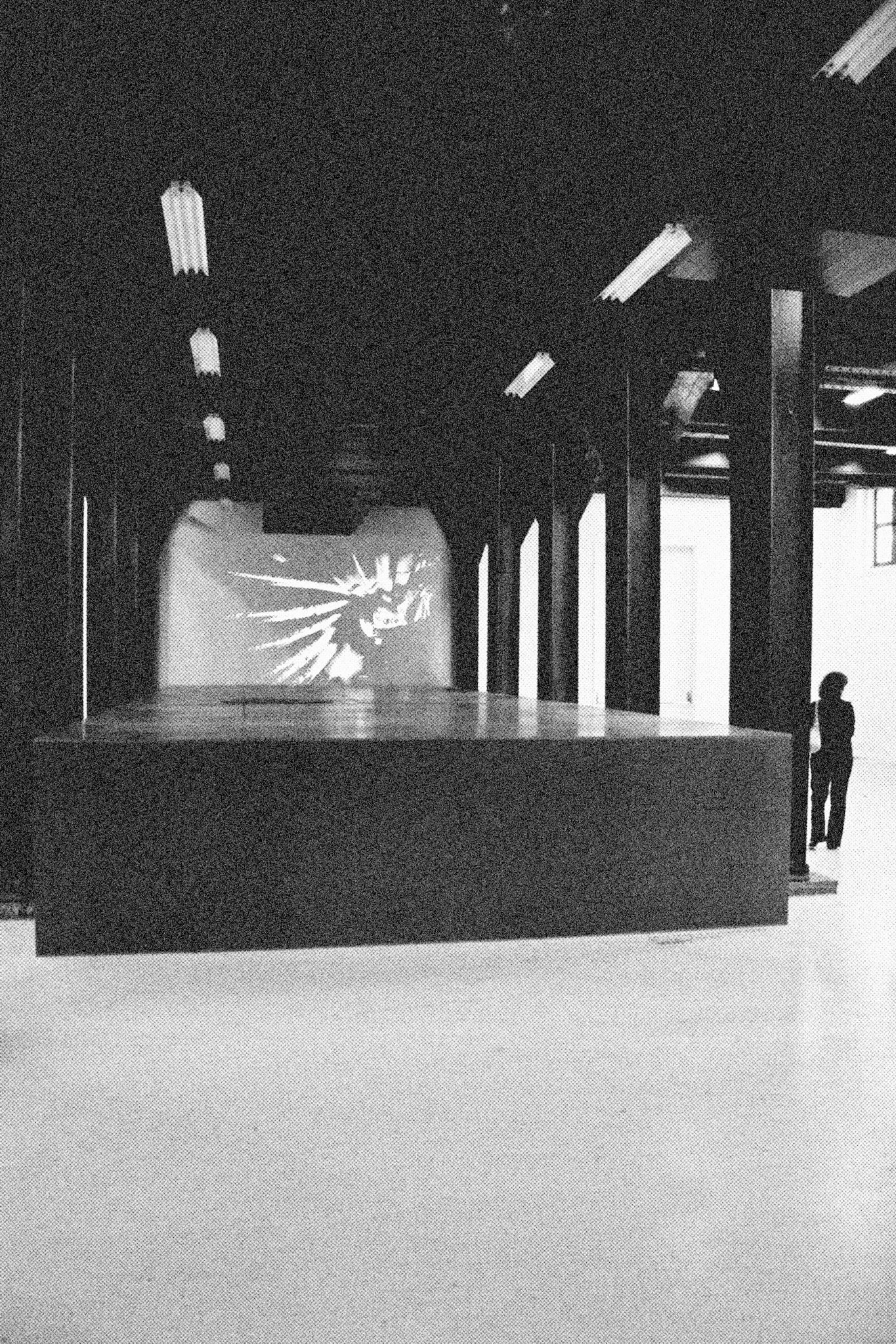 On All FoursVideo Installation (5m x 12,5m x 1,25m - MDF panels)DVD, 48', soundHessenhuis, Antwerp (BE)2006