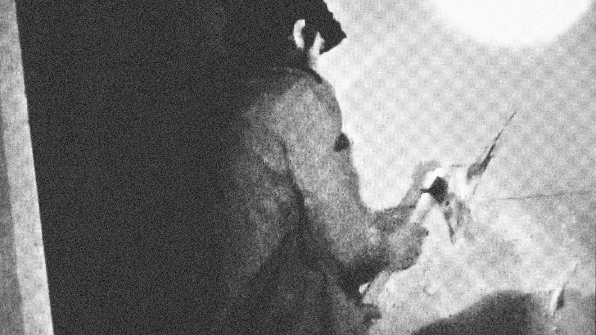 On All FoursVideo Installation (5m x 12,5m x 1,25m - MDF panels)DVD, 48', soundHessenhuis, Antwerp (BE)2006