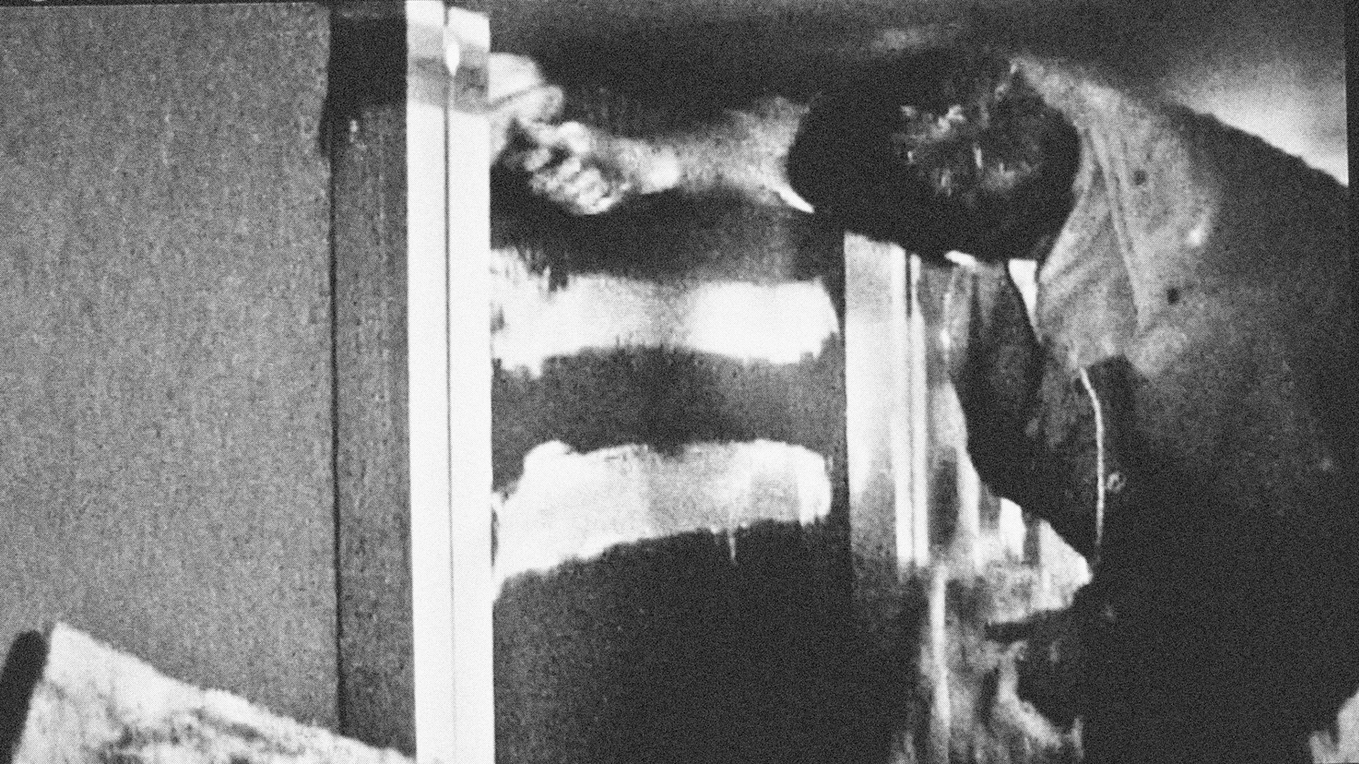 On All FoursVideo Installation (5m x 12,5m x 1,25m - MDF panels)DVD, 48', soundHessenhuis, Antwerp (BE)2006