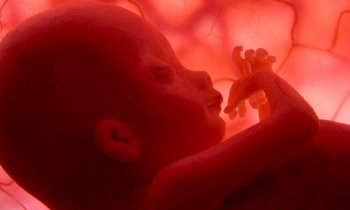 being in the womb