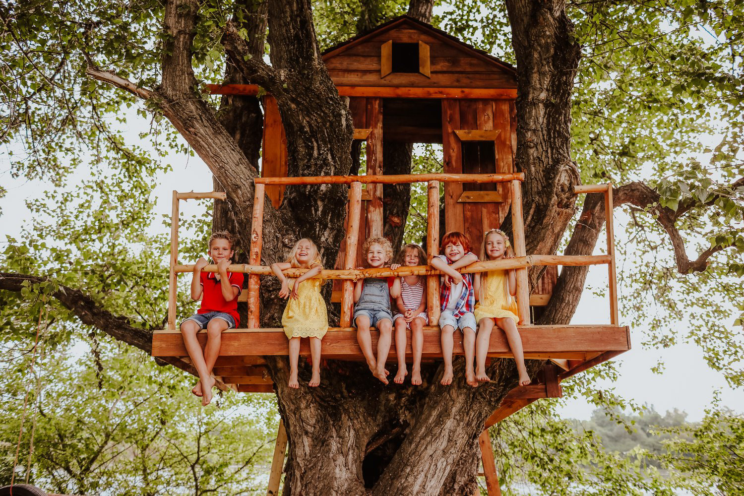 tree houses
