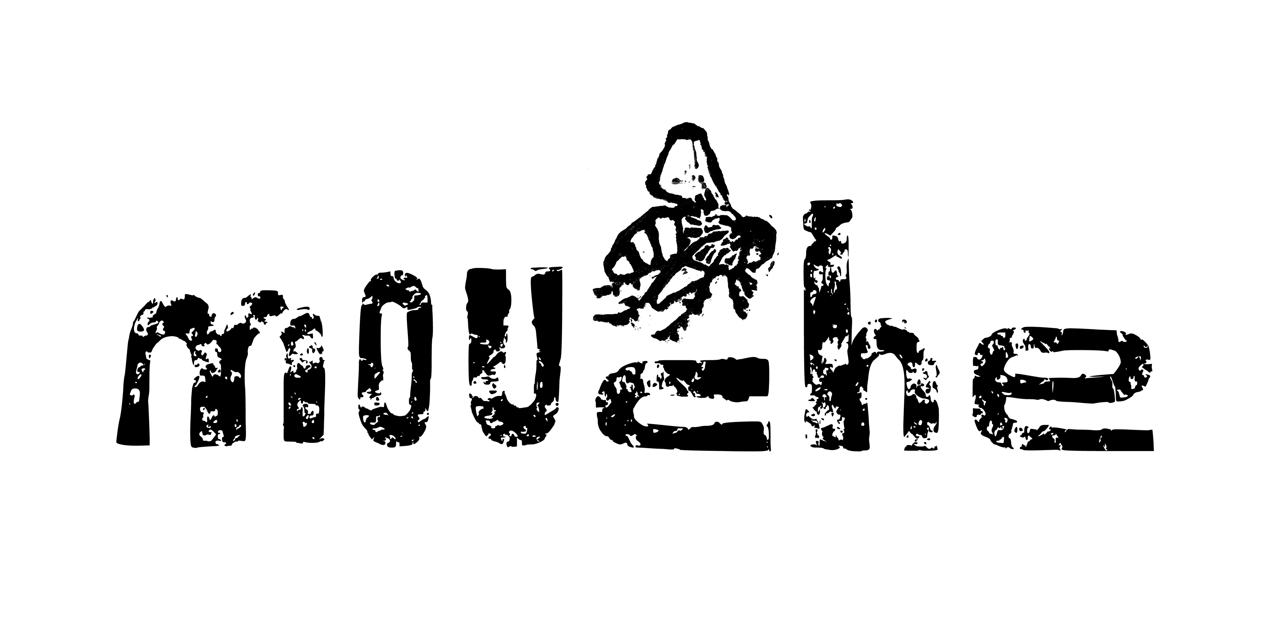 Mouche illustration and graphic design Stefanie van Stee