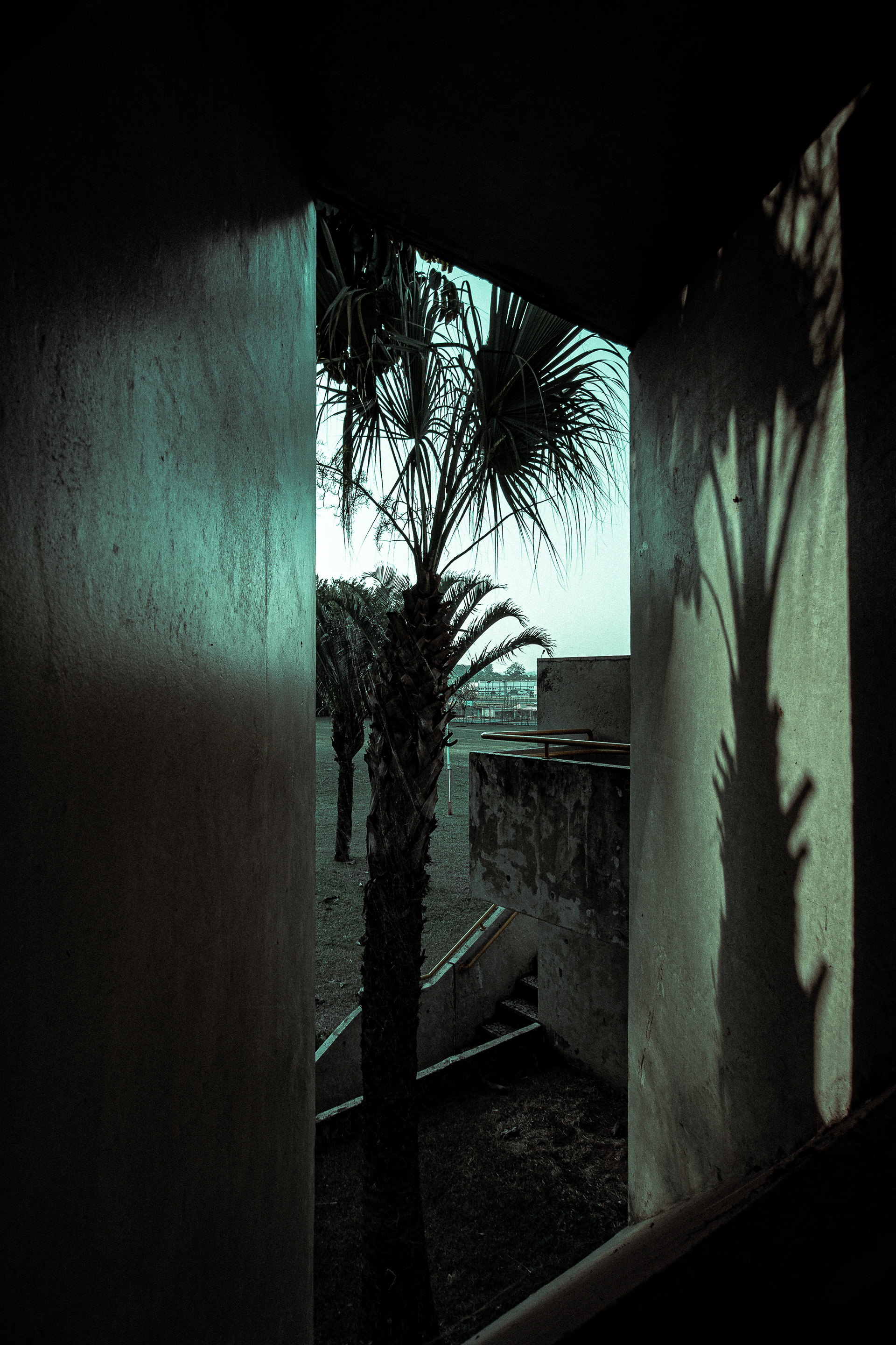 Série Vistas