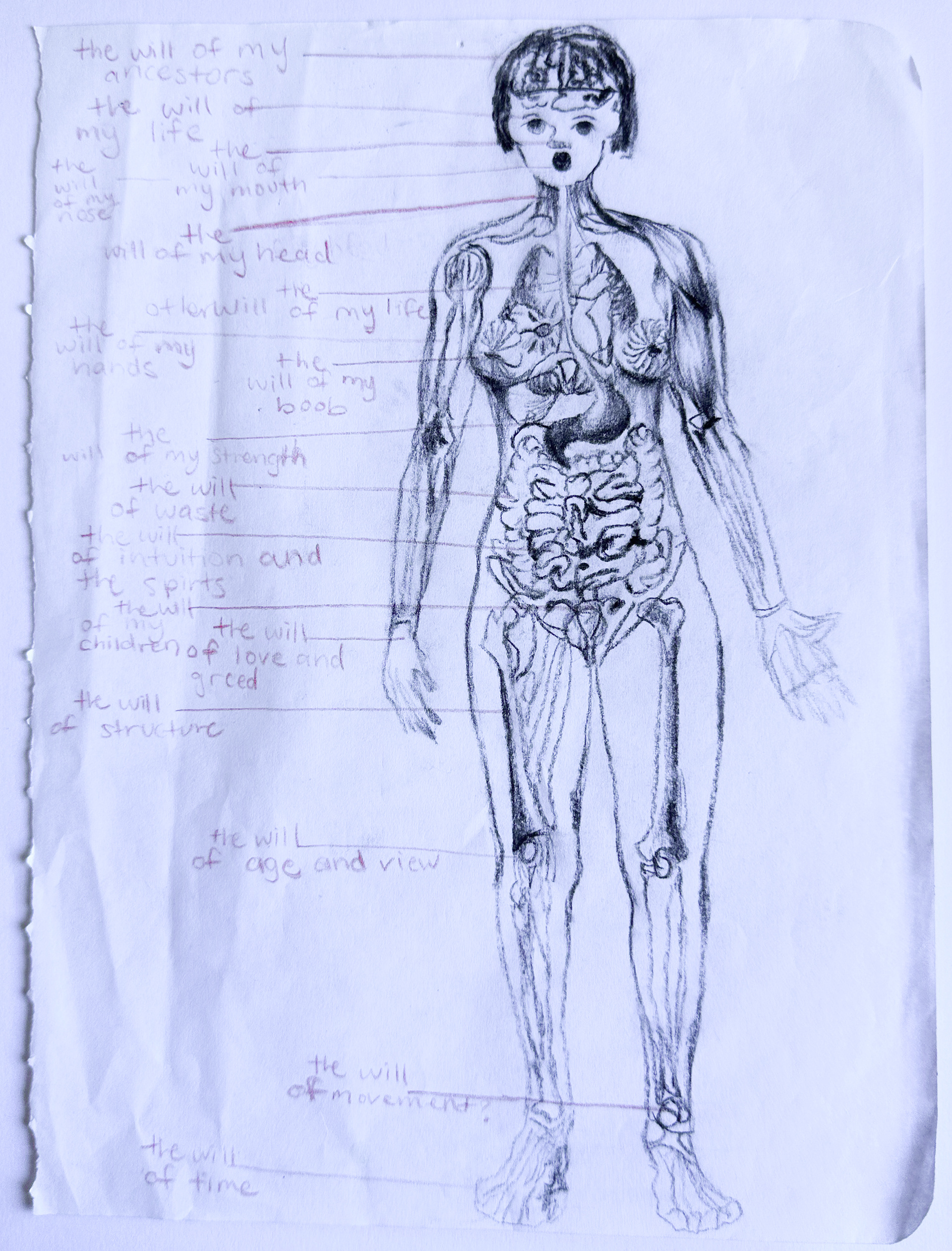 1, charcoal pencil and aquacolor pencil