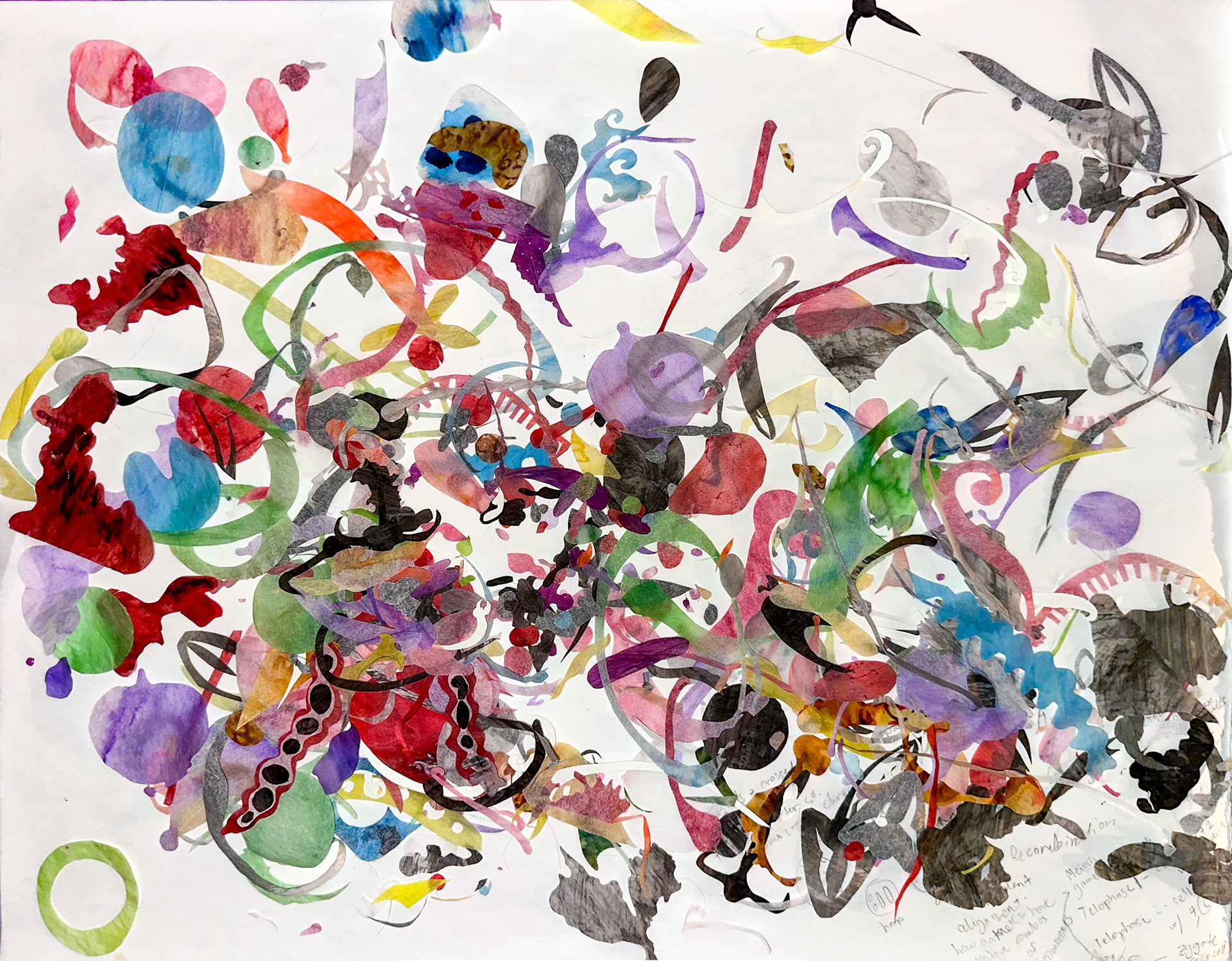 The hardened remnants of stamen, 2026. Dimensions: 18' x 24'. Tracing paper, watercolor, ink, archival glue, and pencil
