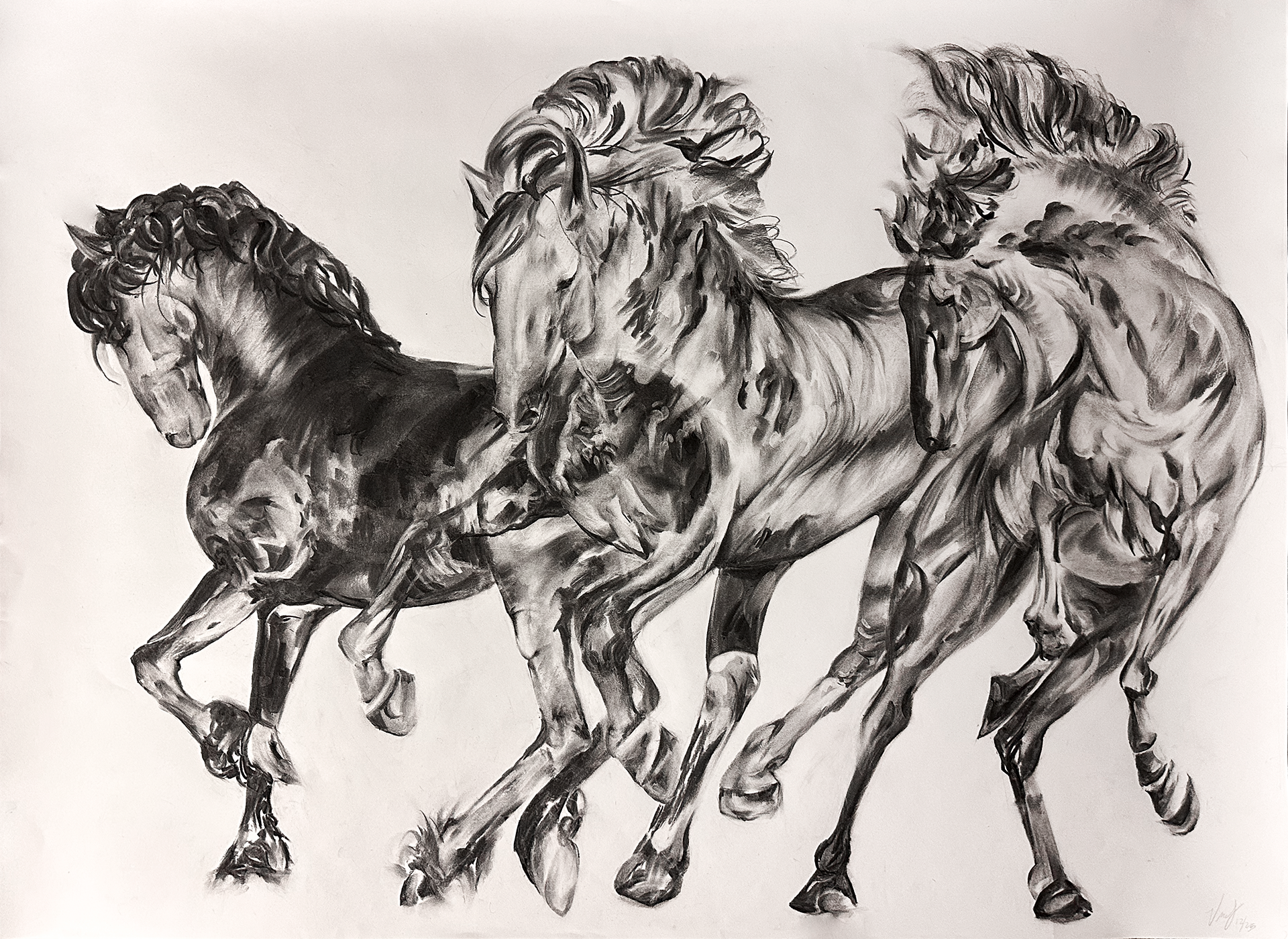 horses for Father, 2025, Dimensions: 48 x 36 inches, Charcoal on Paper