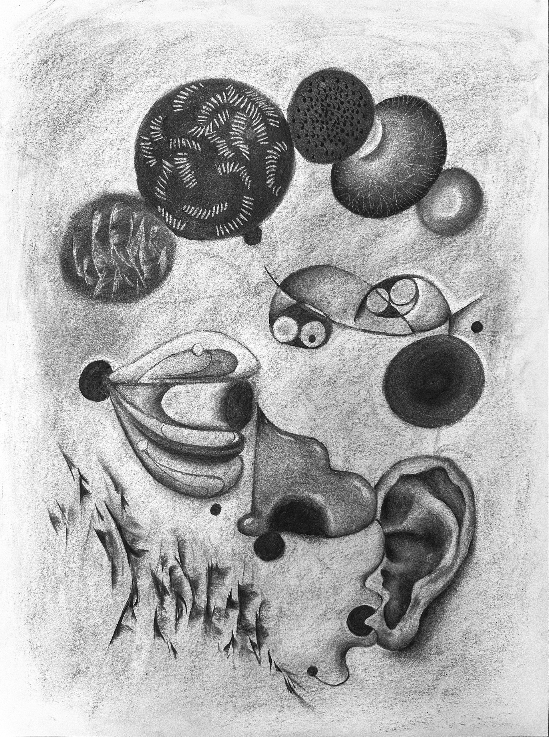 Bug Collector, 2025, Dimensions 18 x 24in, Charcoal on Paper