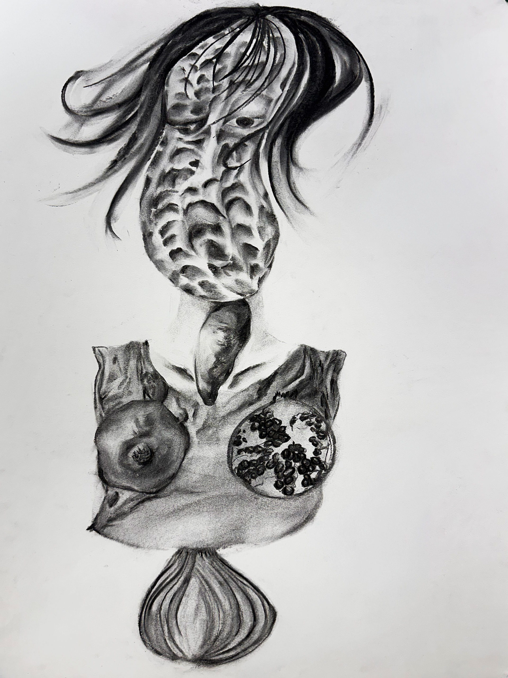 Miss Peanut, 2025, Dimensions: 18 x 24in, Charcoal on paper