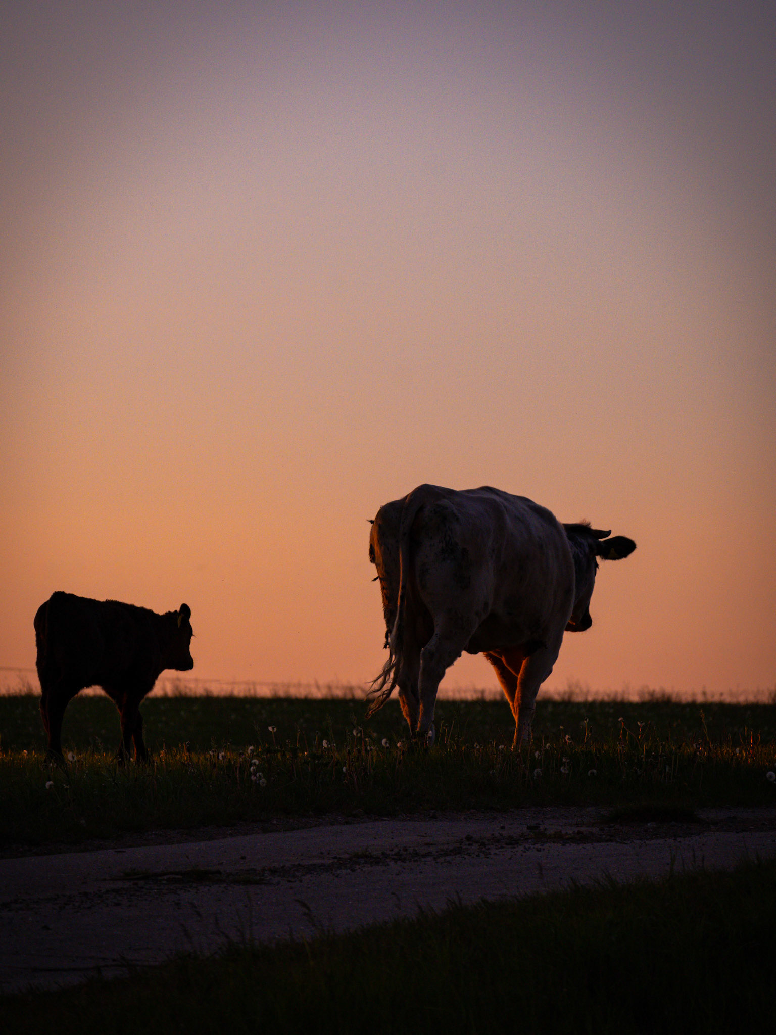 2023-05, tribsees (ger)