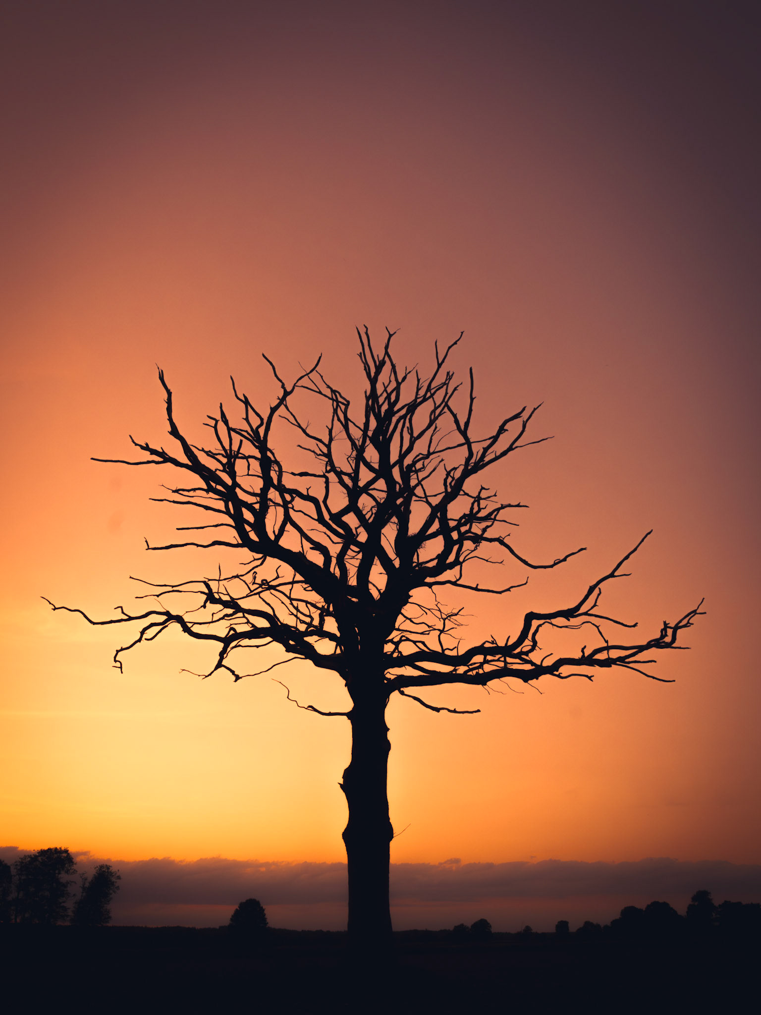 2023-05, salzhausen (ger)