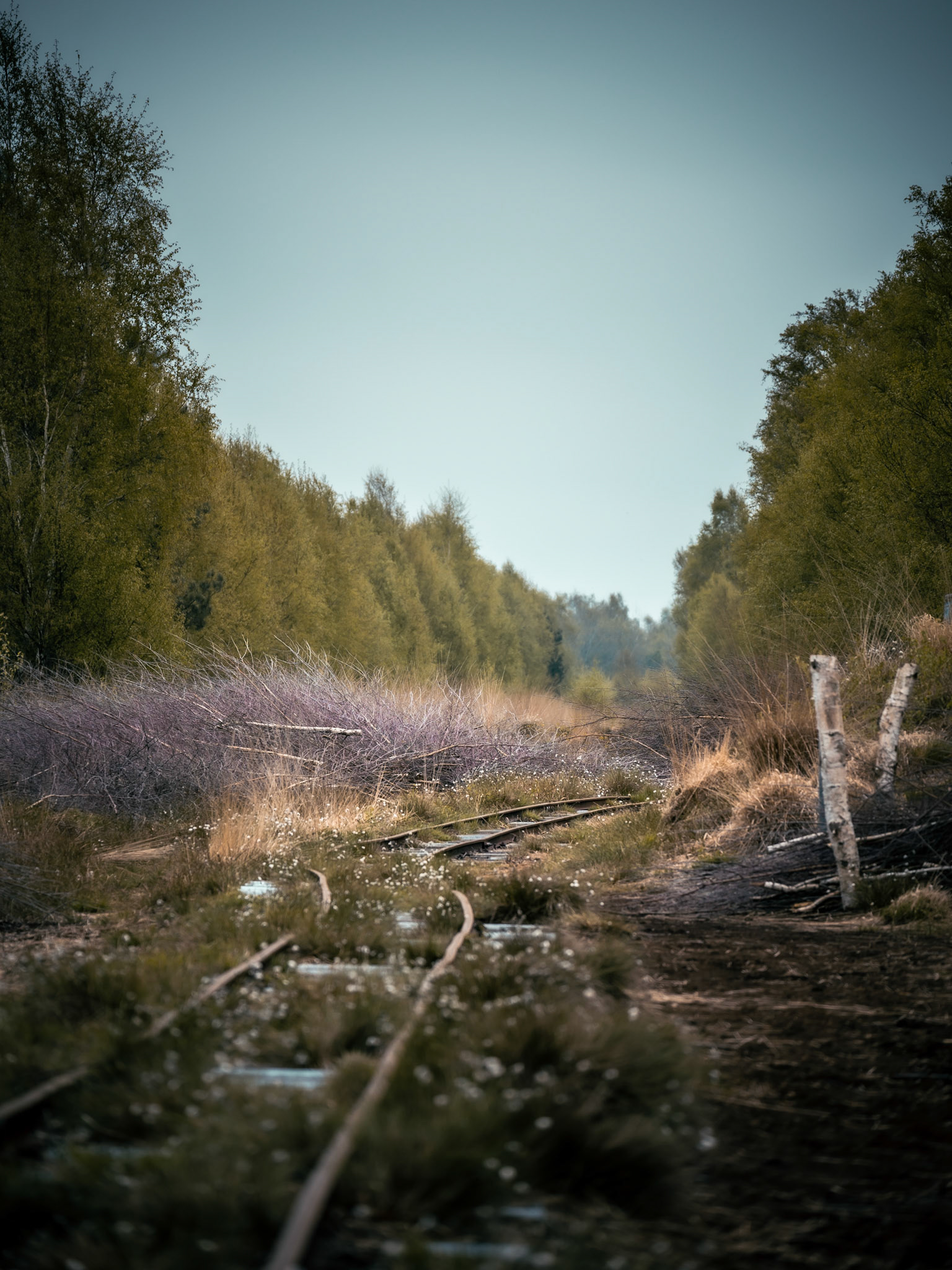 2023-05, himmelmoor (ger)