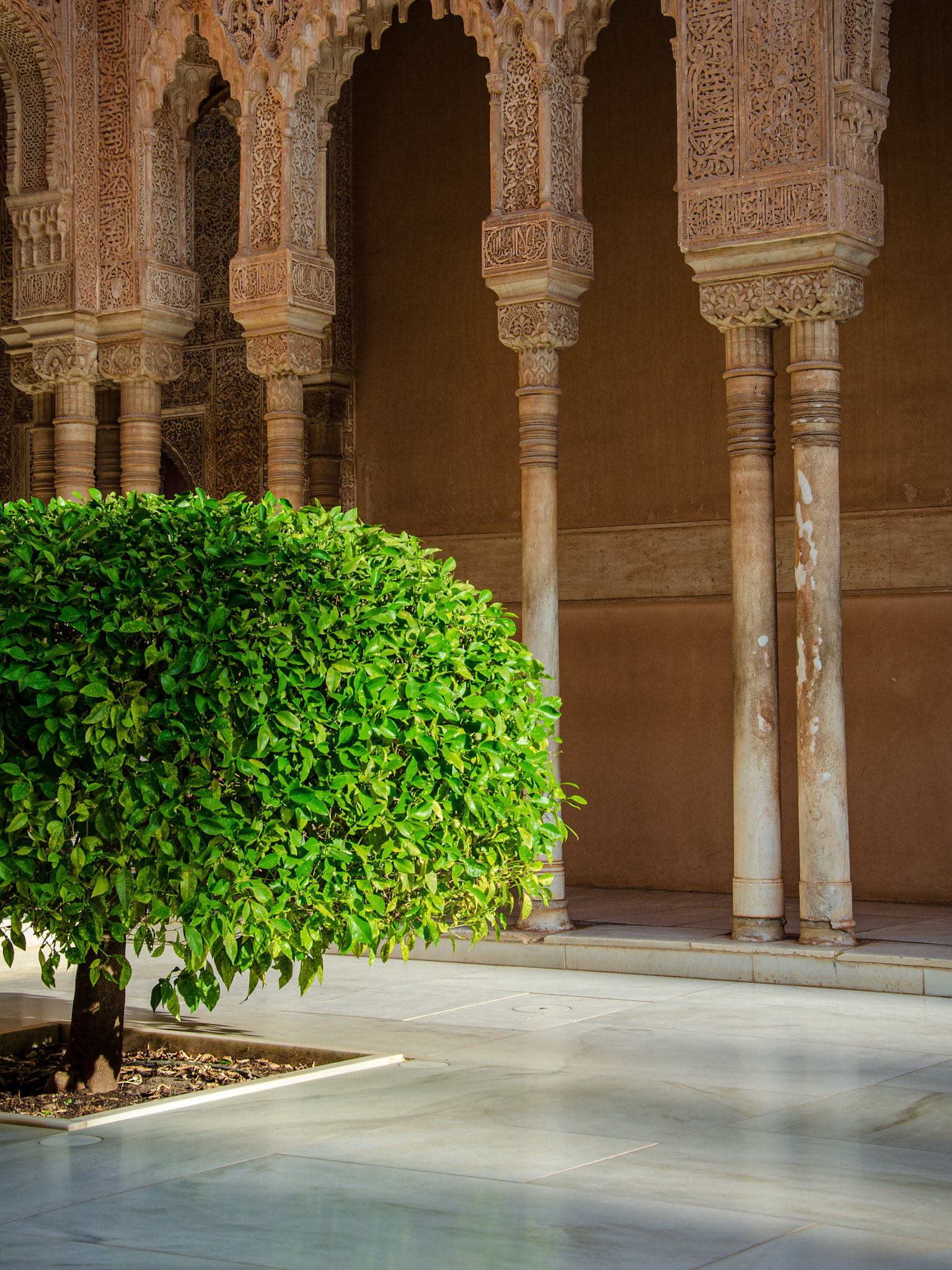 2018-09, ahambra (esp)