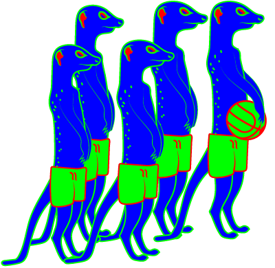 Meerkats