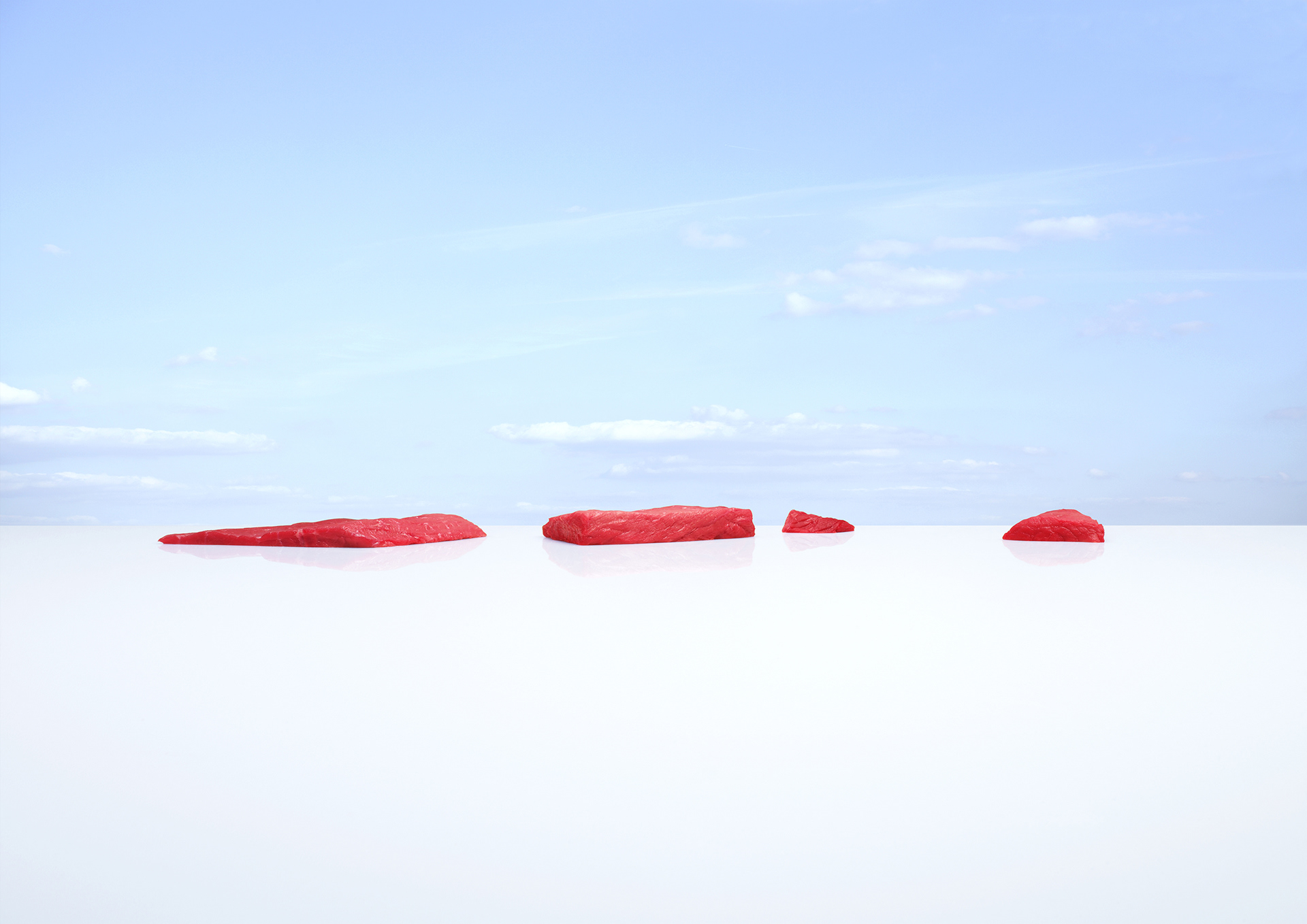 nature morte "les îles viande" photo Renaud Loisy
