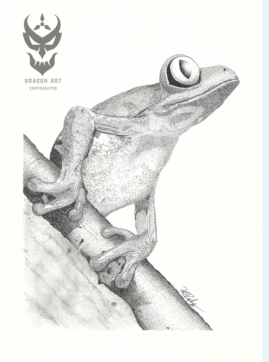 Frog ink stippling (aka mind-numbing numbers of dots) – ink on paper; 2013