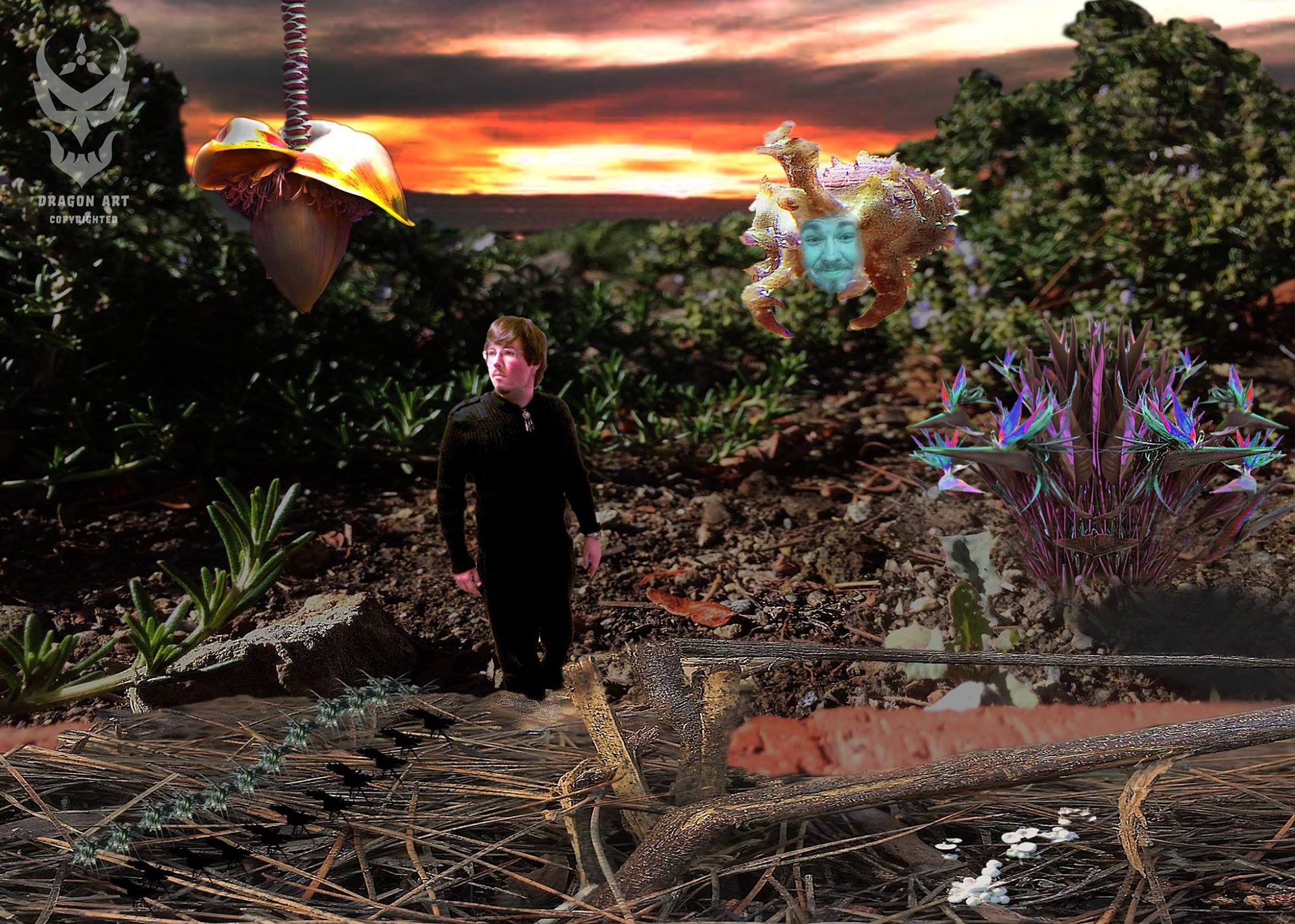 Untitled fantasy landscape – digital collage in Photoshop, 36" x 48"; 2016