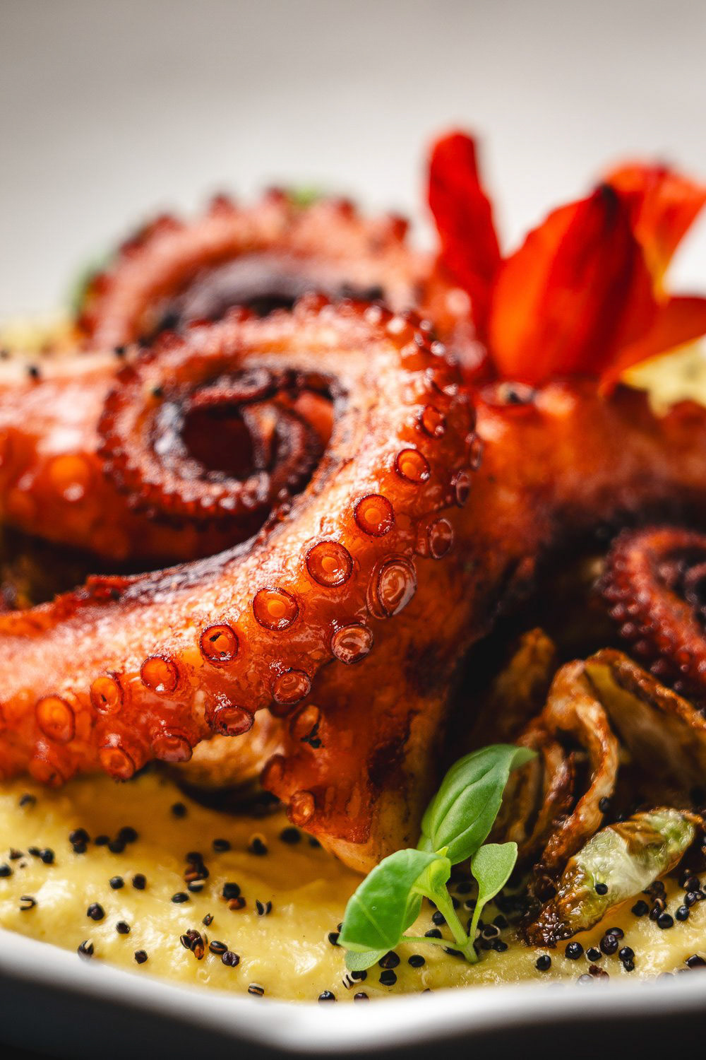 Bläckfisk i passionsfrukt