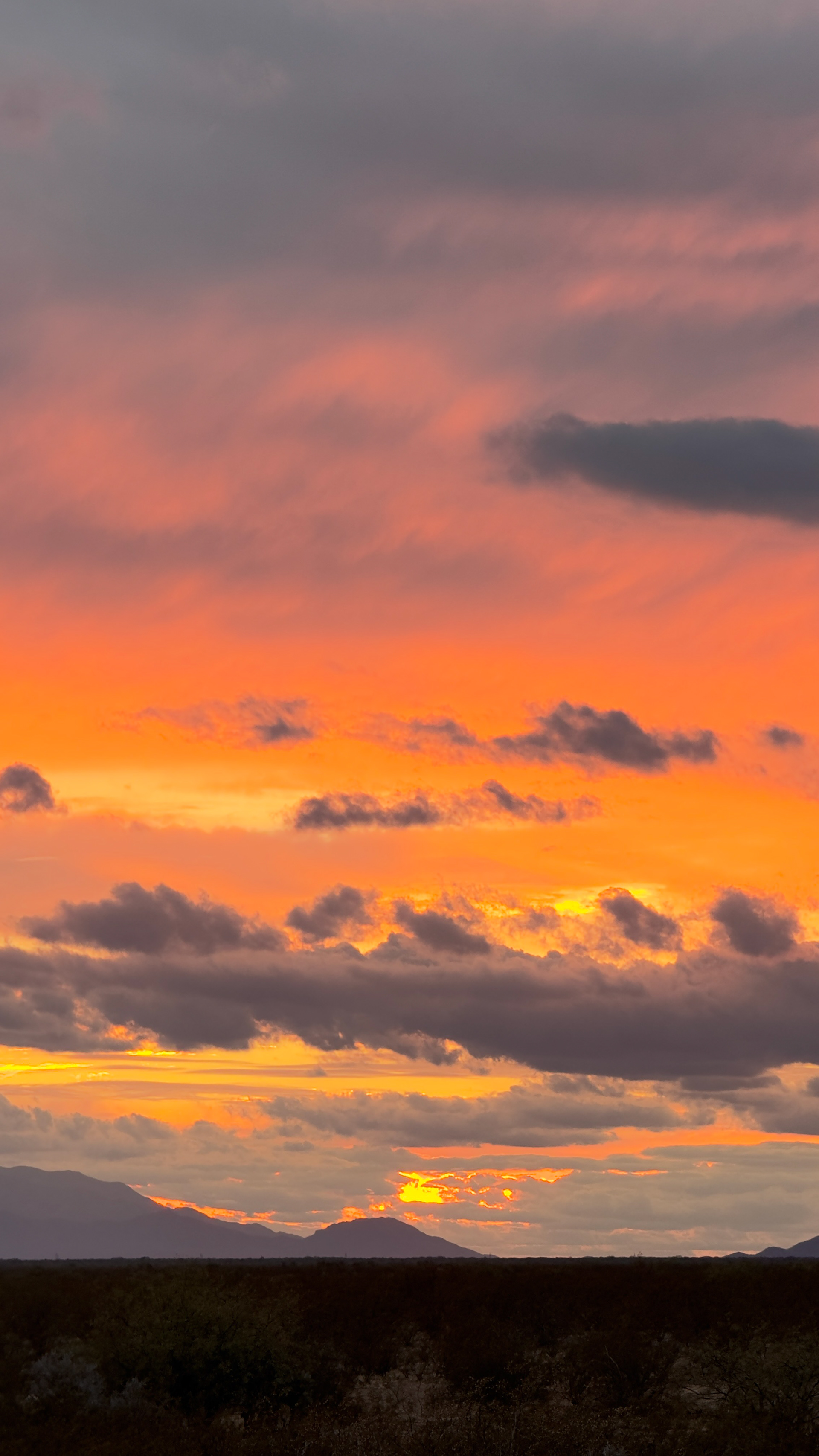 Henderson Sunset.