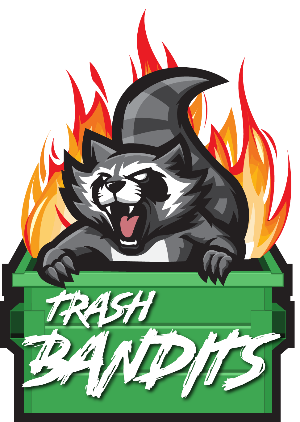 CUSTOM TEAM LOGO