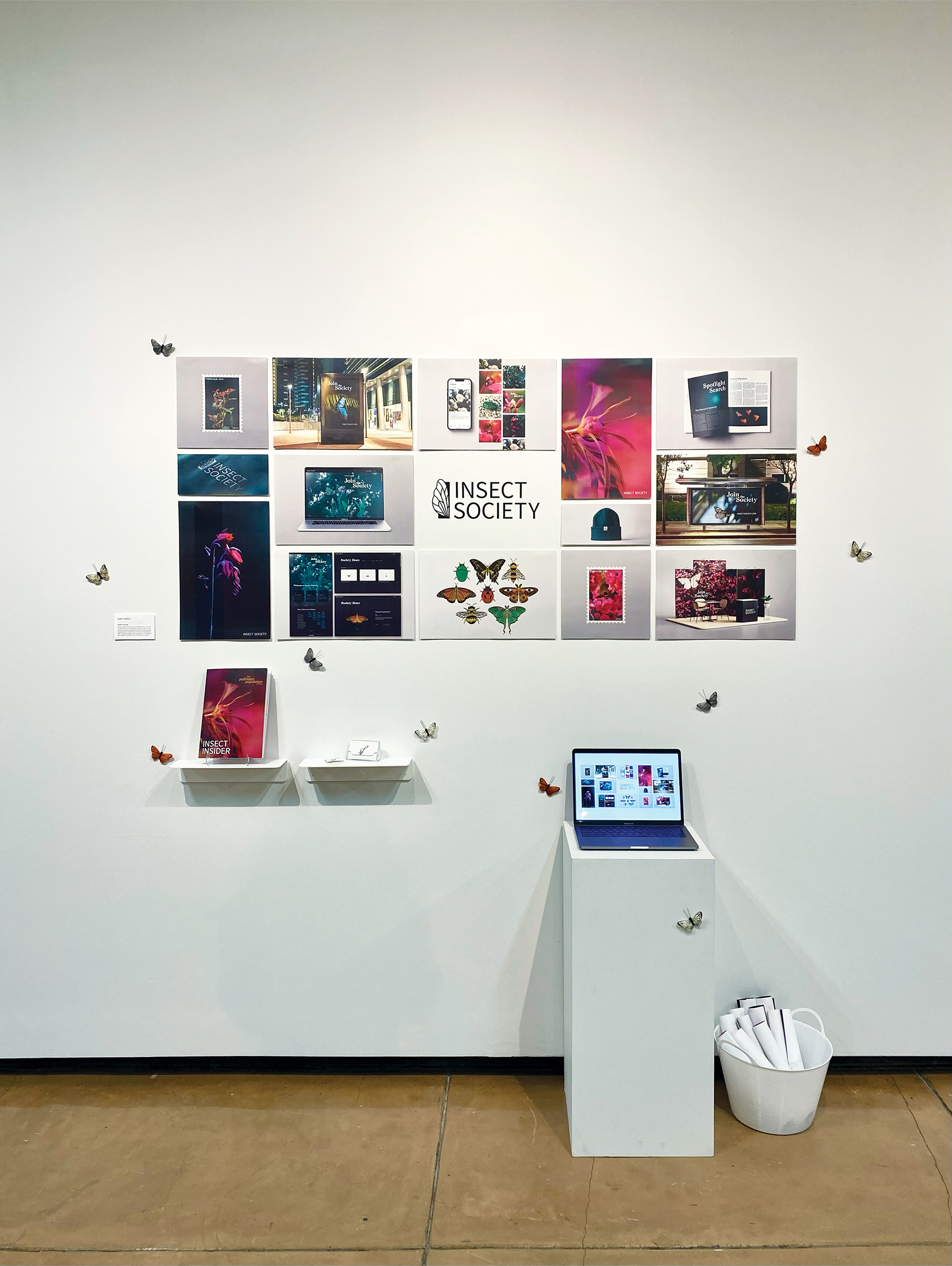 Thesis show display for Insect Society