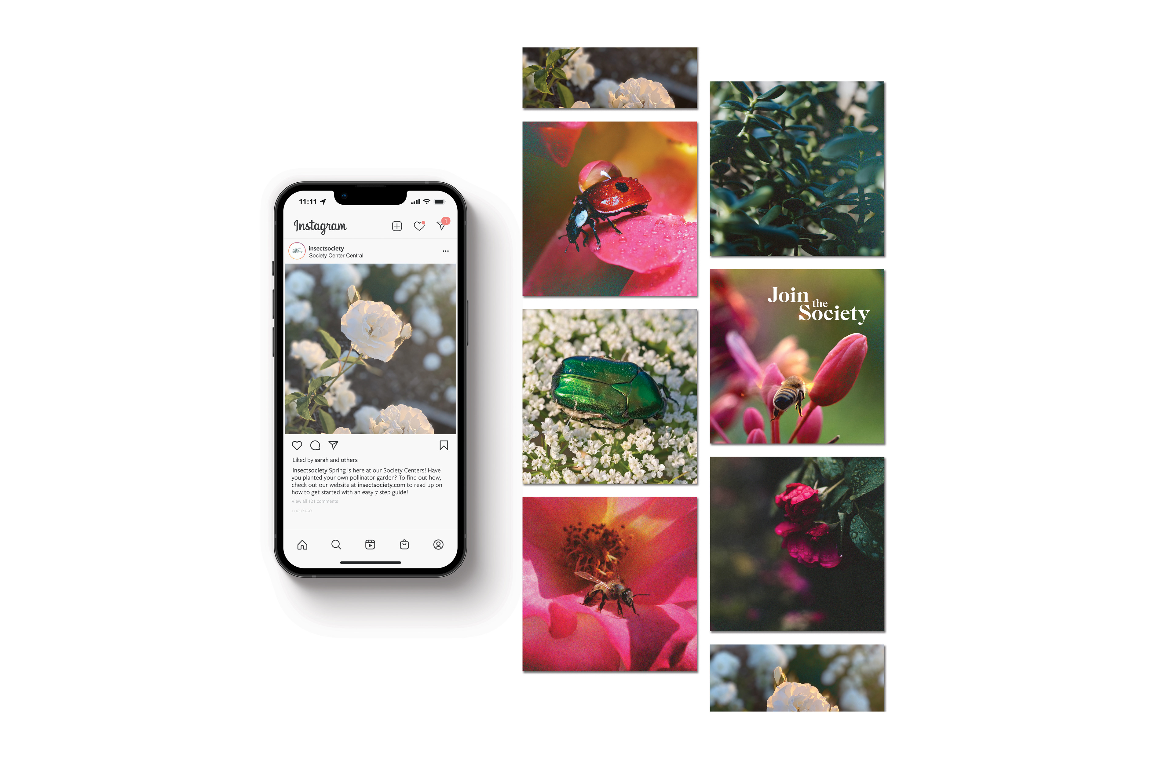 Instagram advertising & photography feed