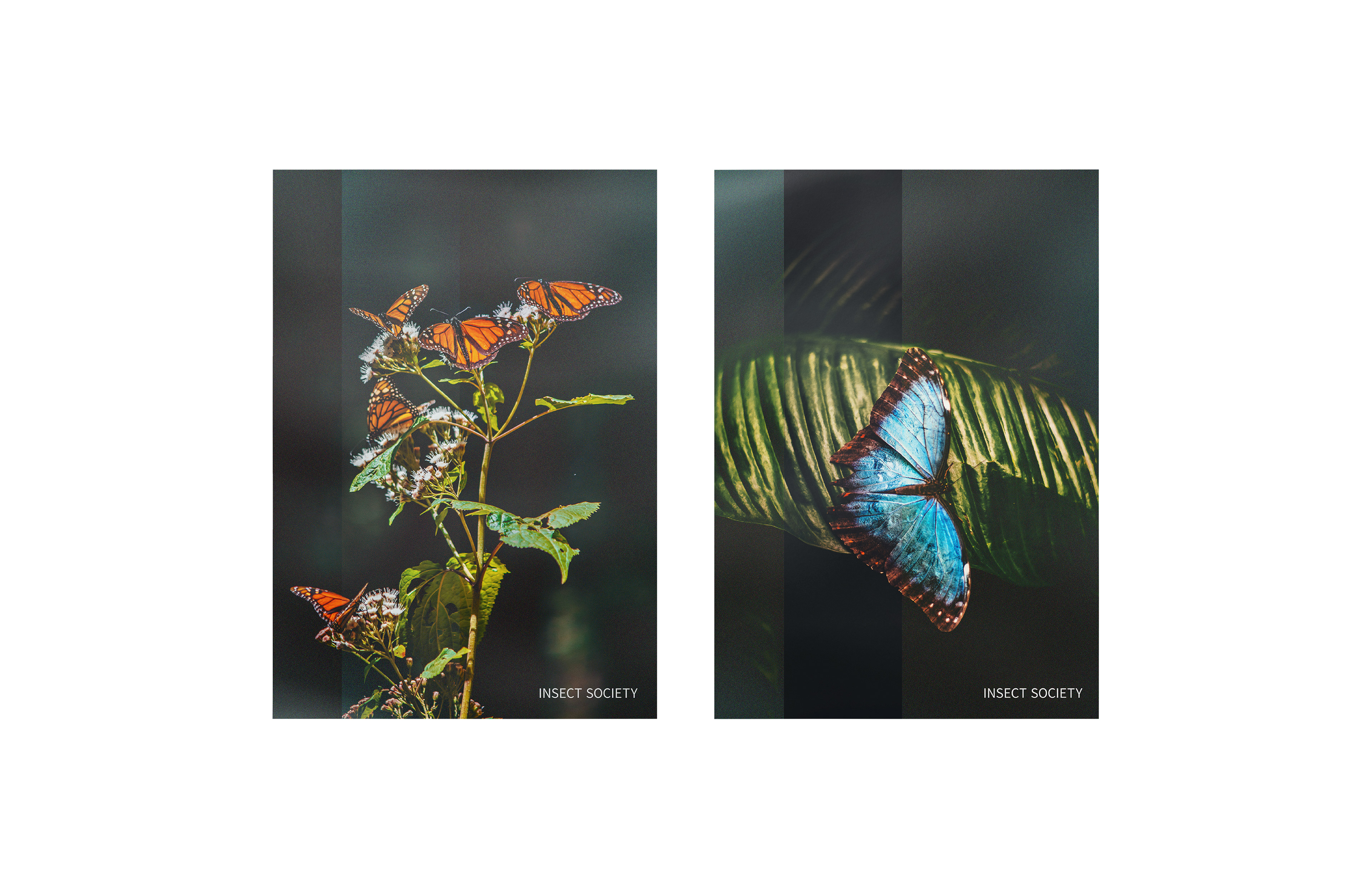 Poster series