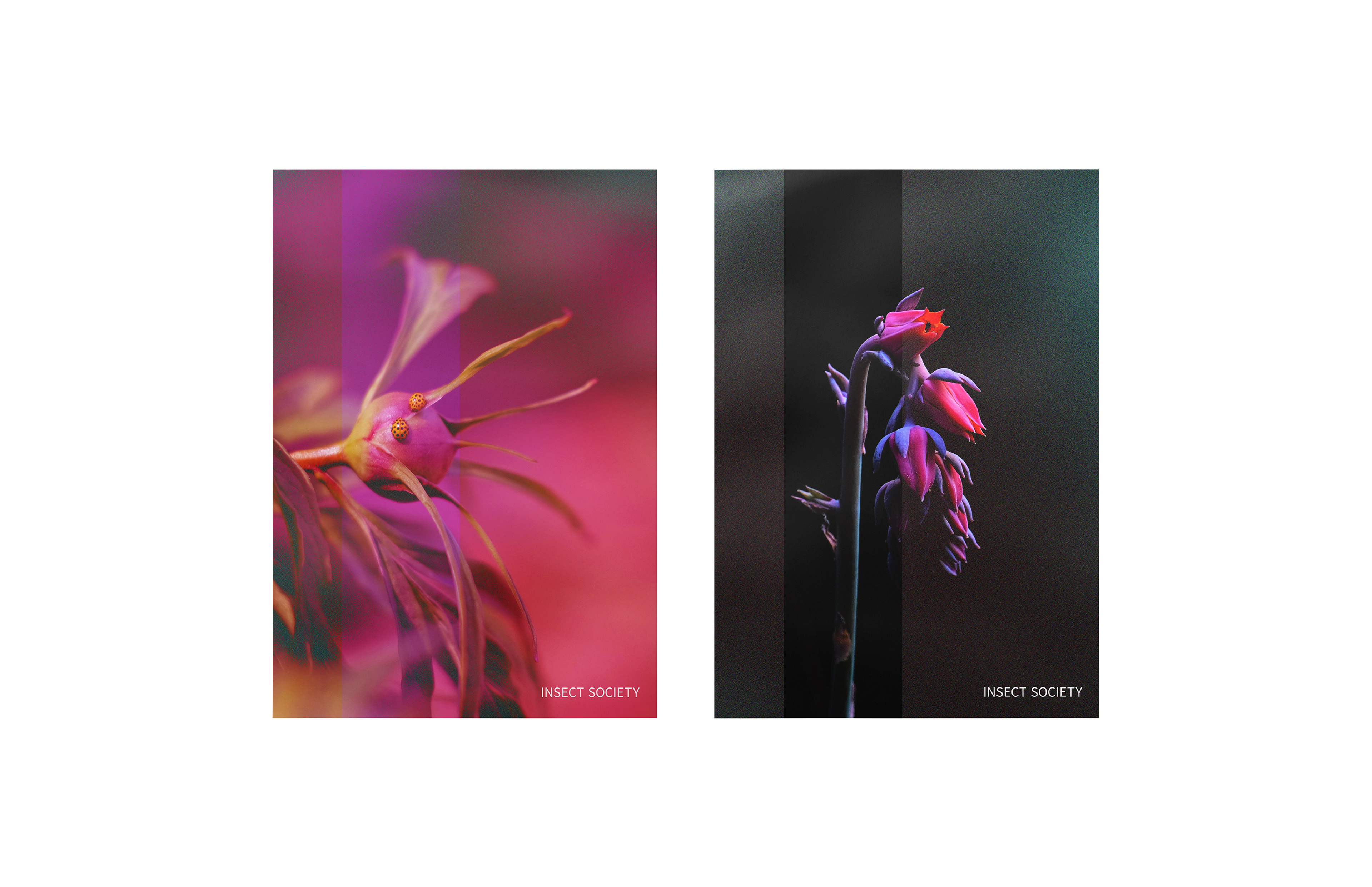 Poster series