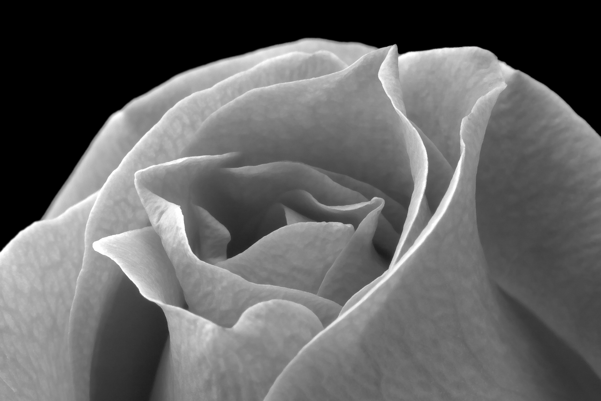 Flora 5110