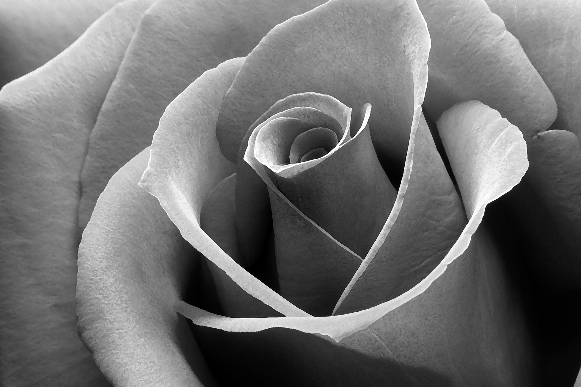 Flora 7101