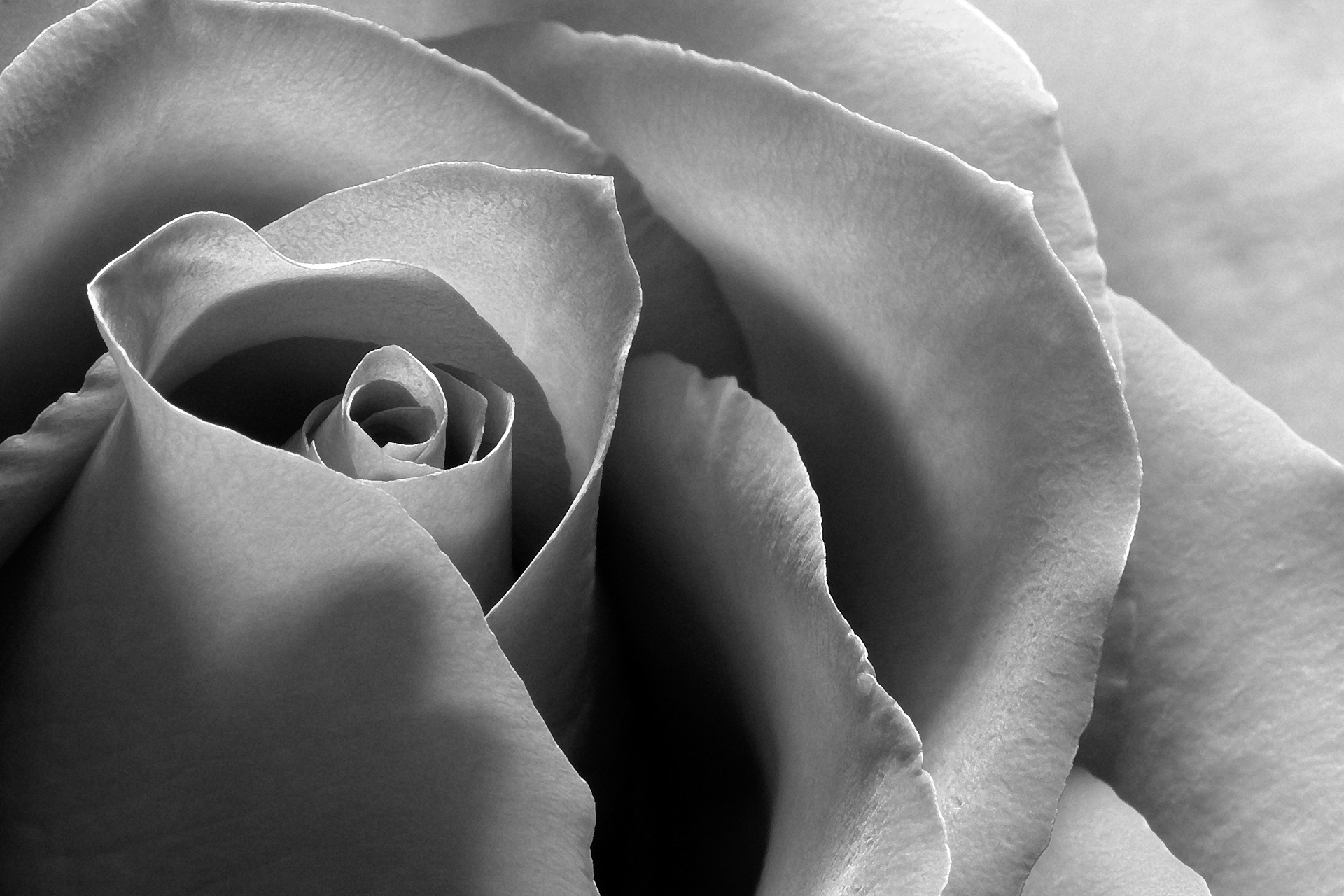 Flora 7123