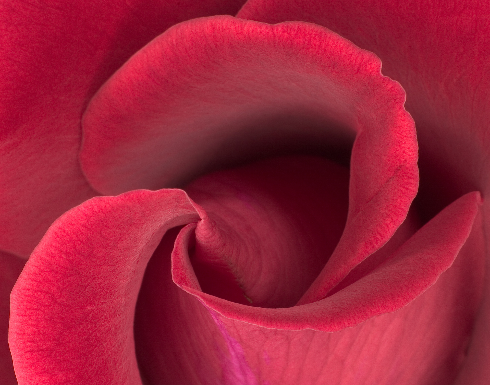 Flora 3575