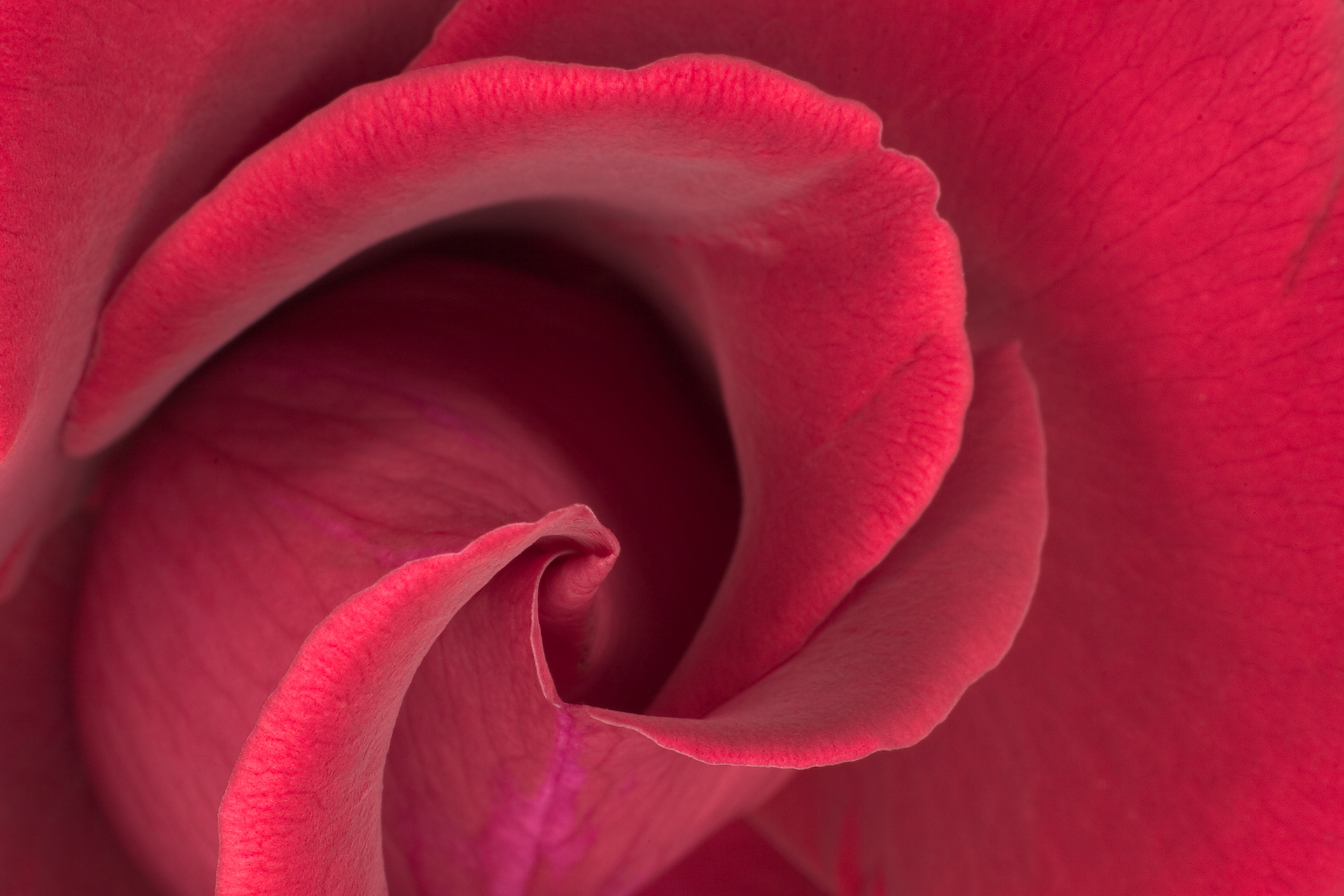 Flora 3577