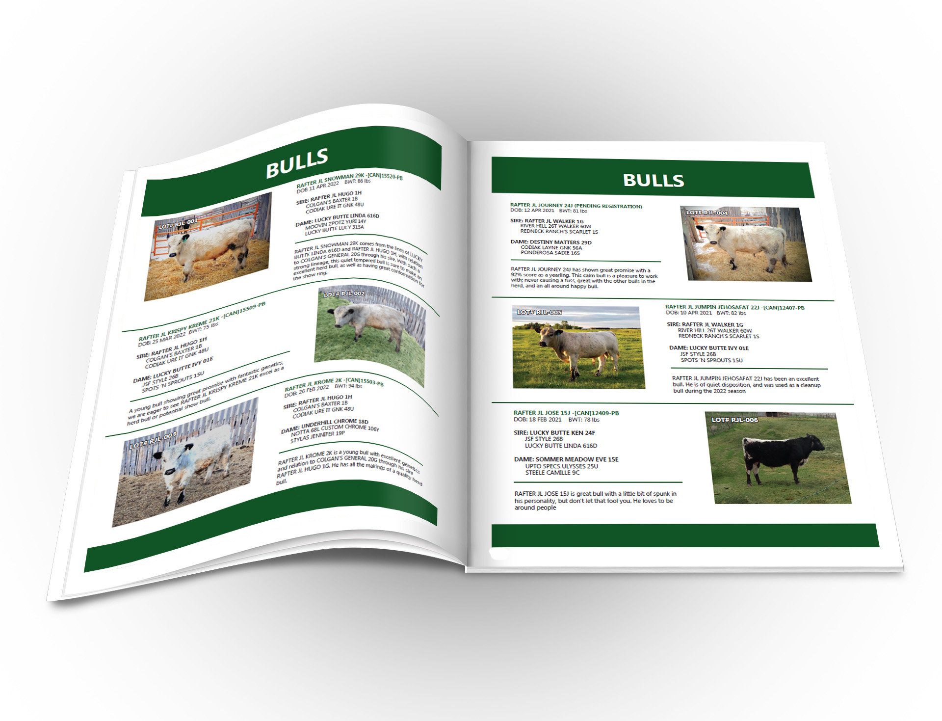 A catalogue built for Rafter JL Livestock