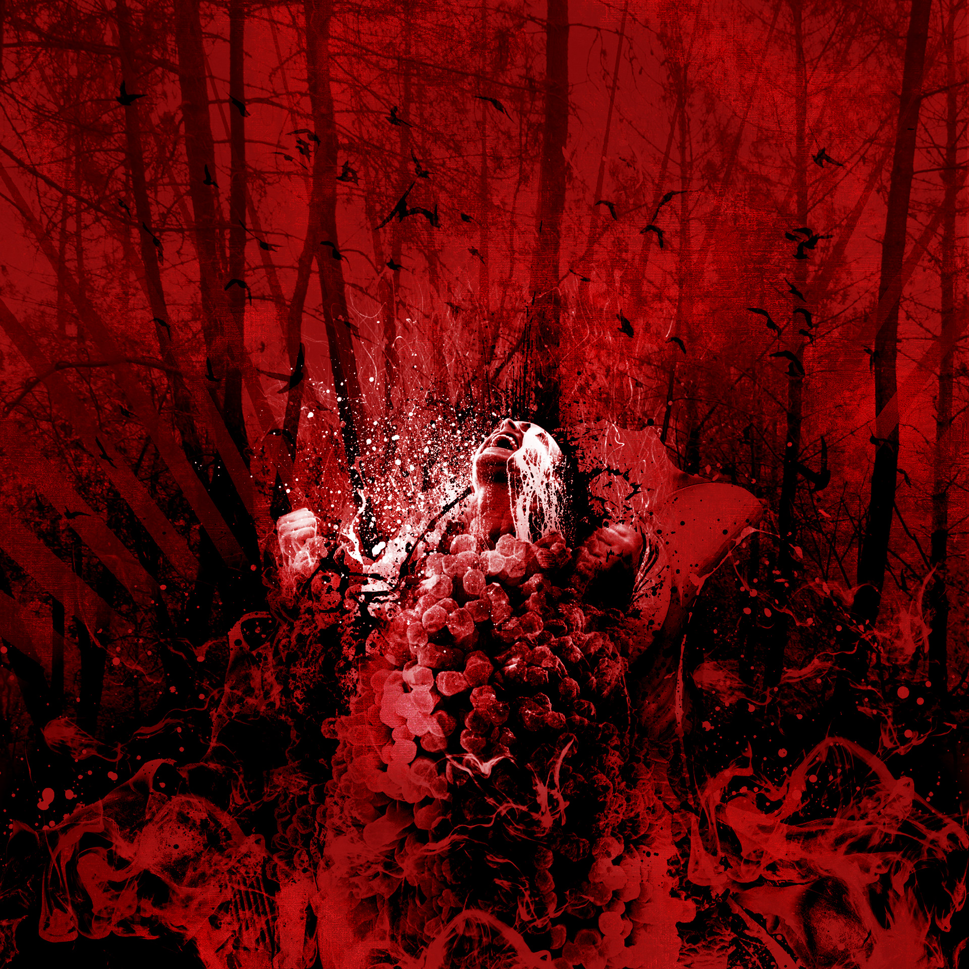 Synarchy | Scars of Gratitude : Cover art