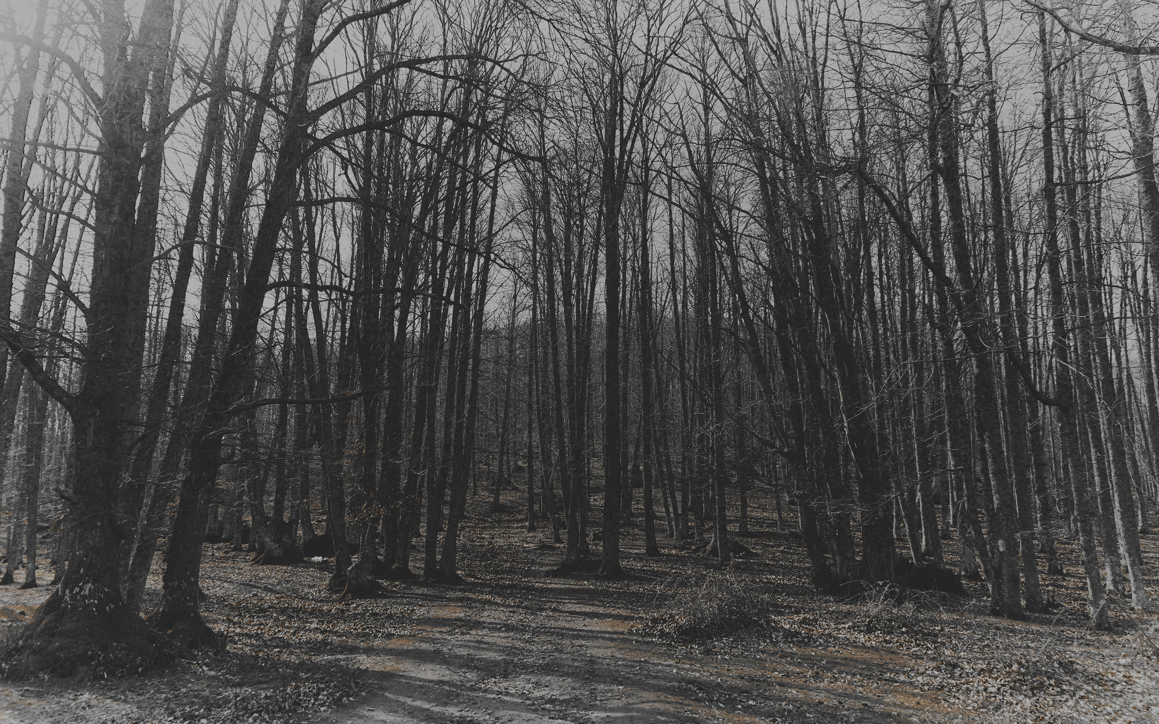 Photography available for Licensing, Black Metal, Doom, Dark Aesthetic
