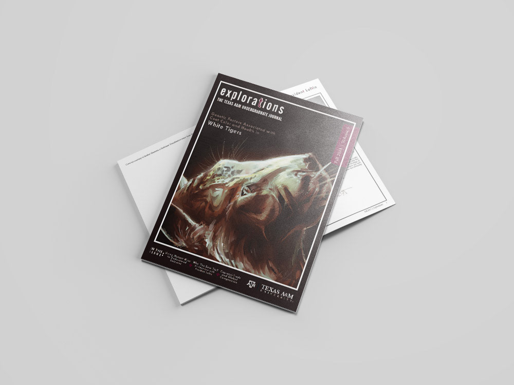 Volume 5 | Fall 2013