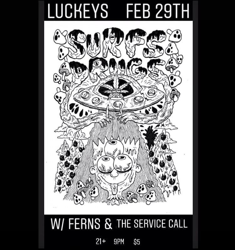 February 29th, 2020 w/Surfs Drugs and Ferns
