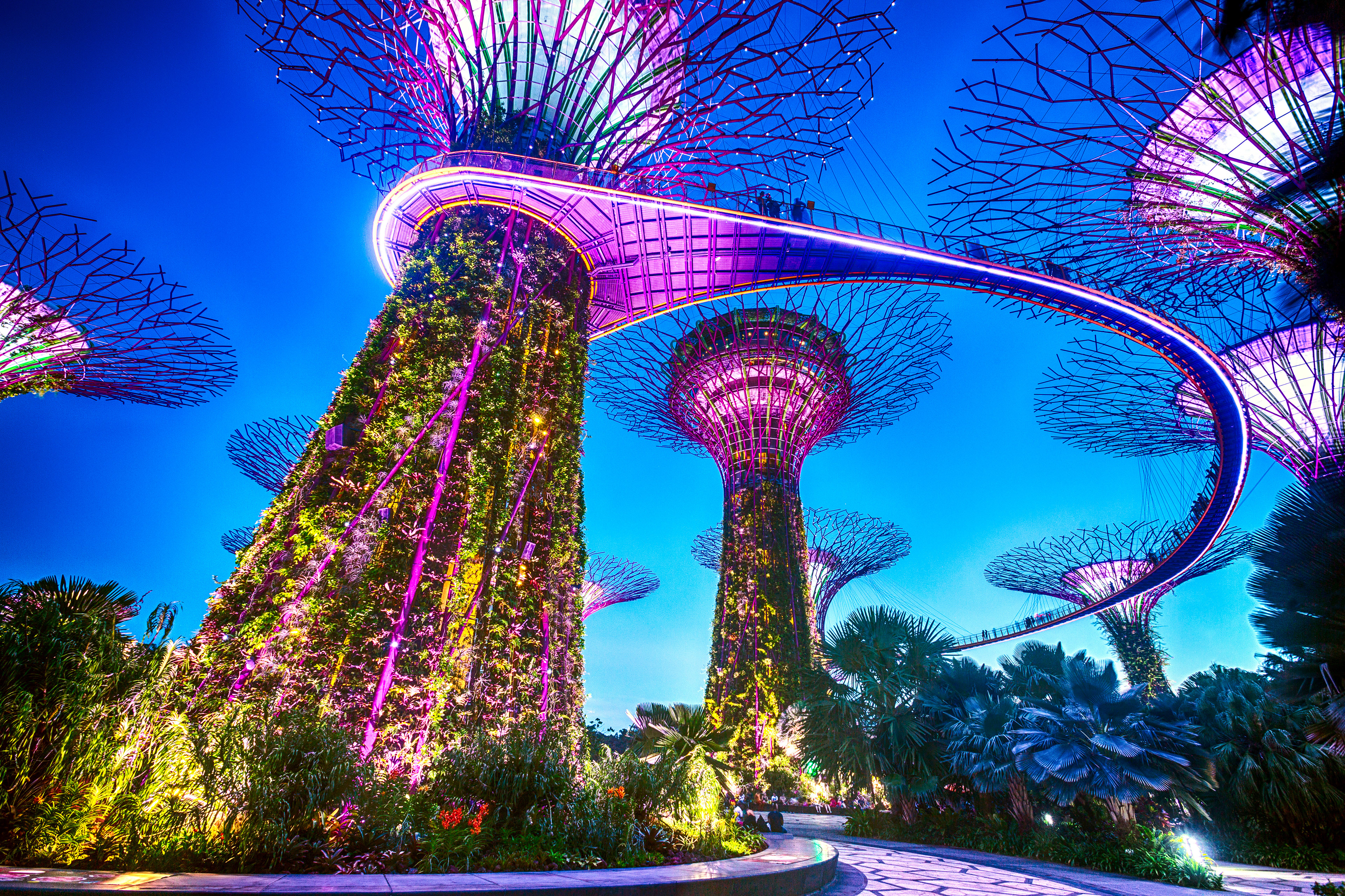 Singapore