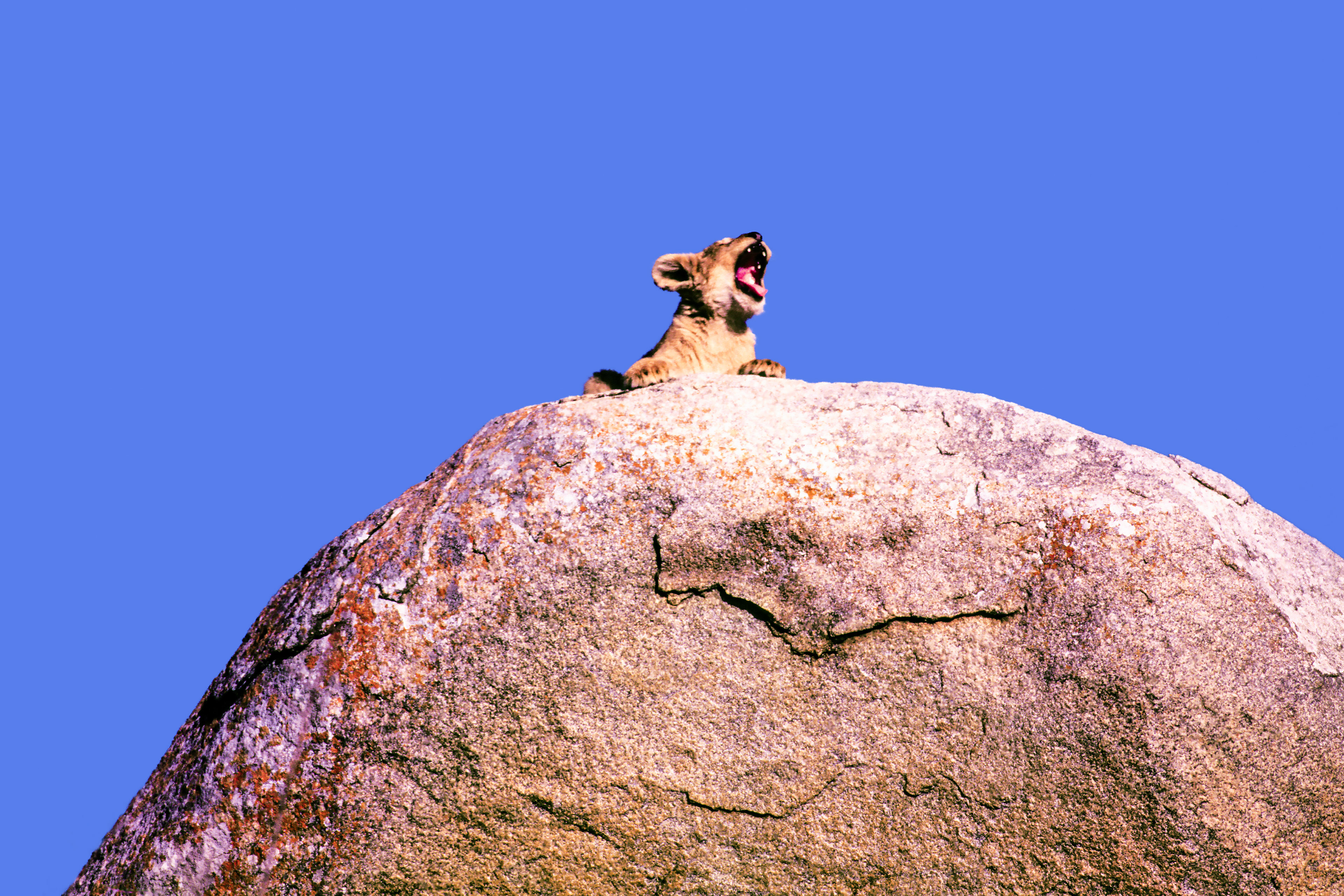 South Africa