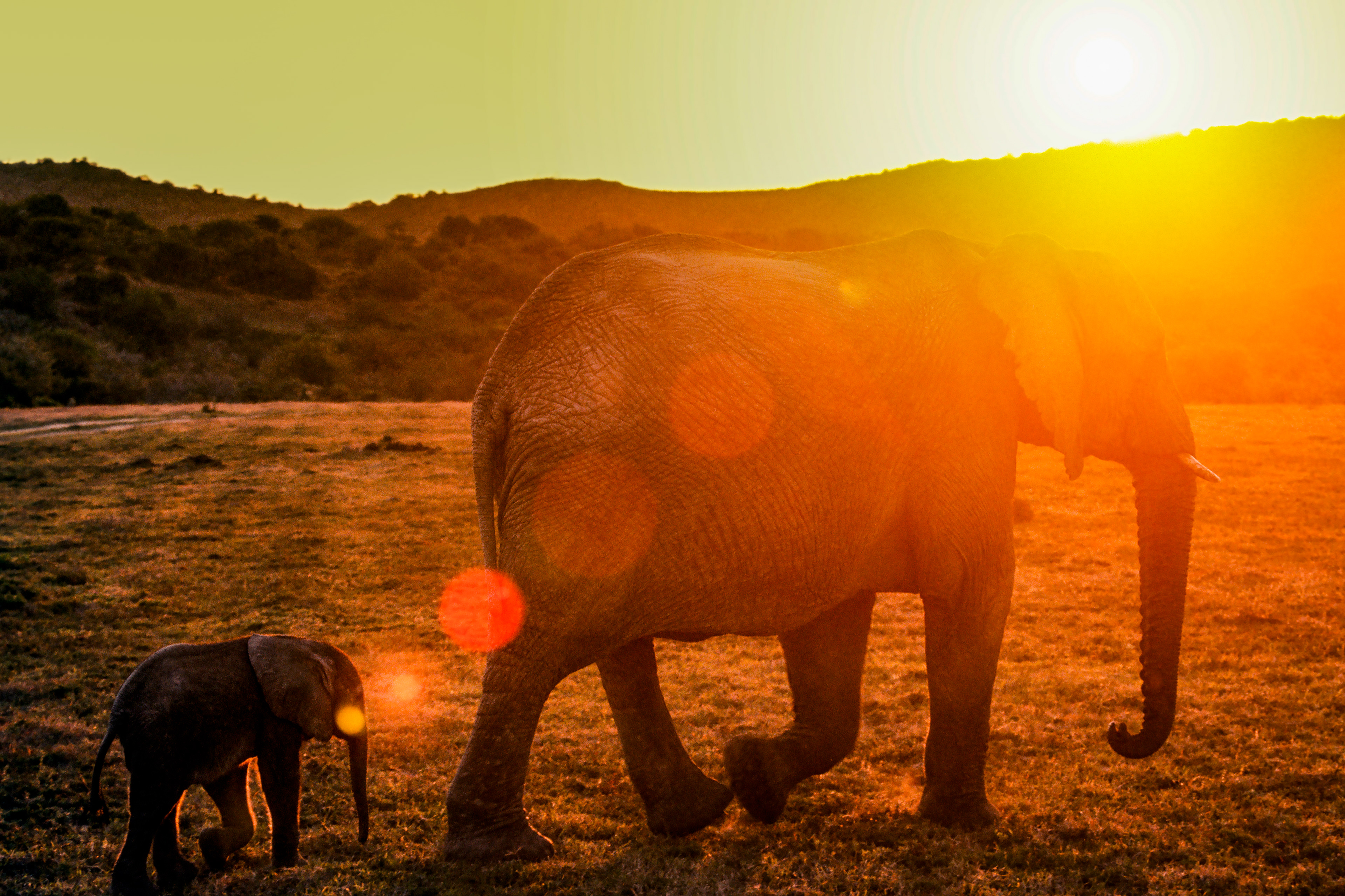 South Africa