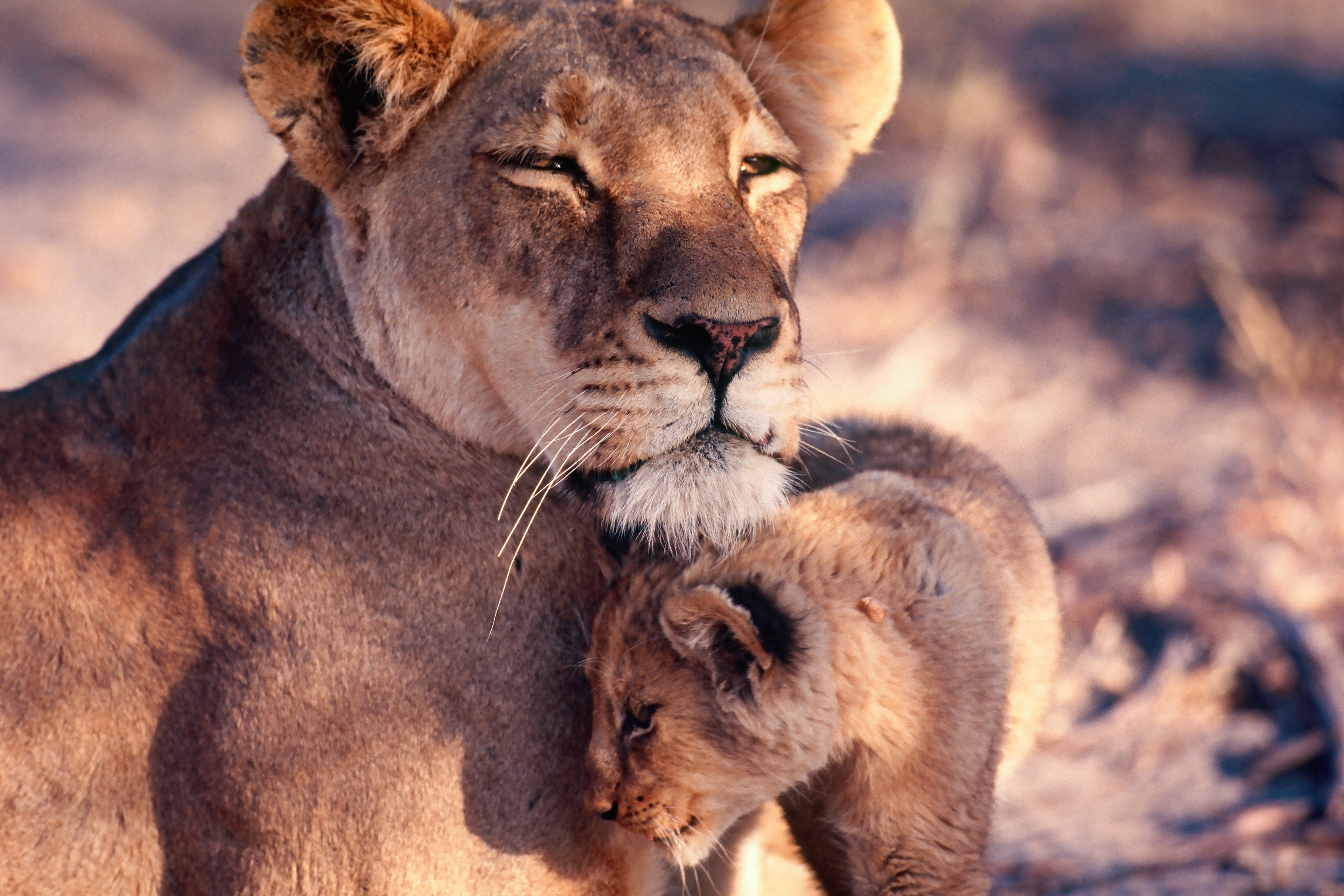 South Africa