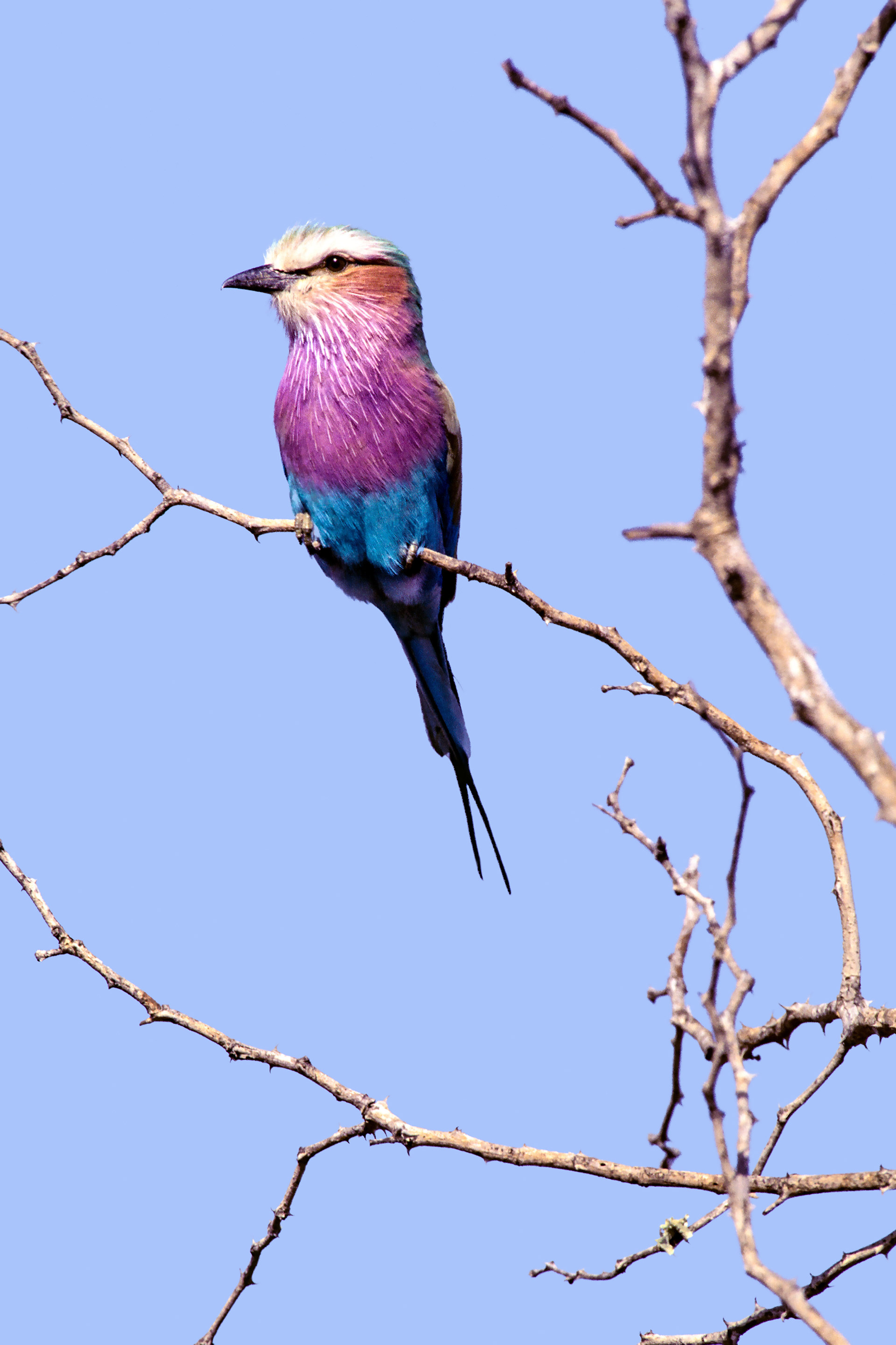 South Africa